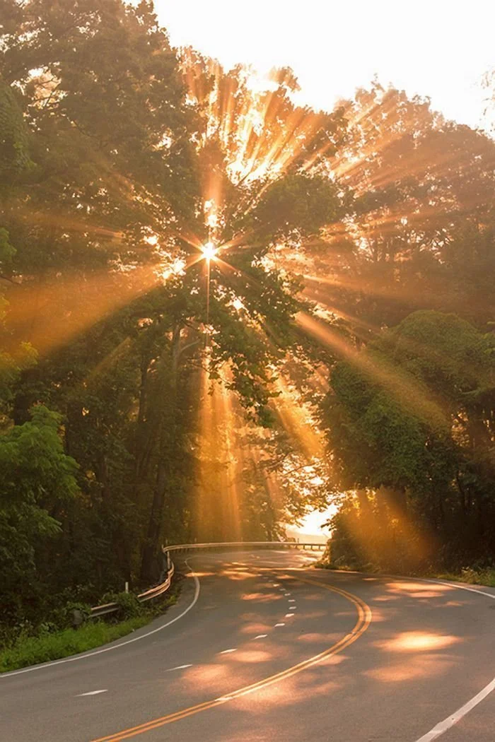 summer sunset golden hour magic hour sunbeams road trip aesthetic.jfif