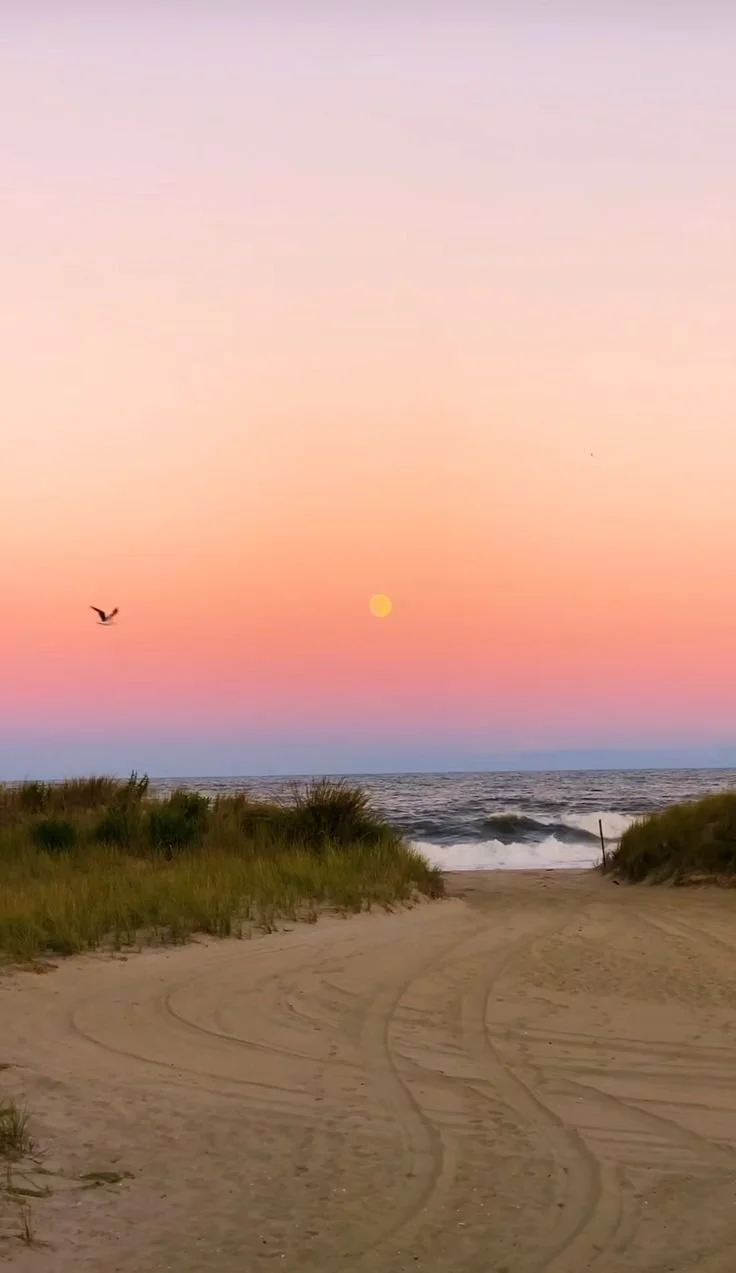 Hamptons Sunset.jfif