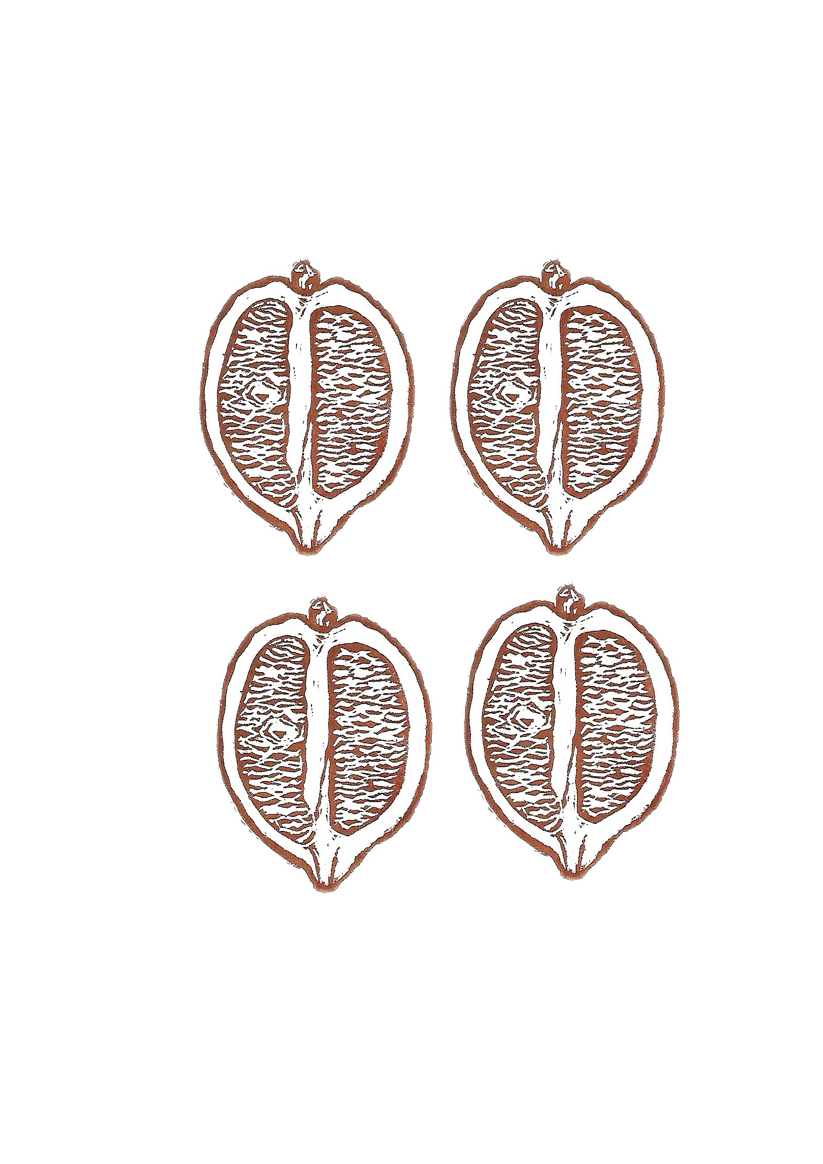 2025-12-19_104503 (1).png