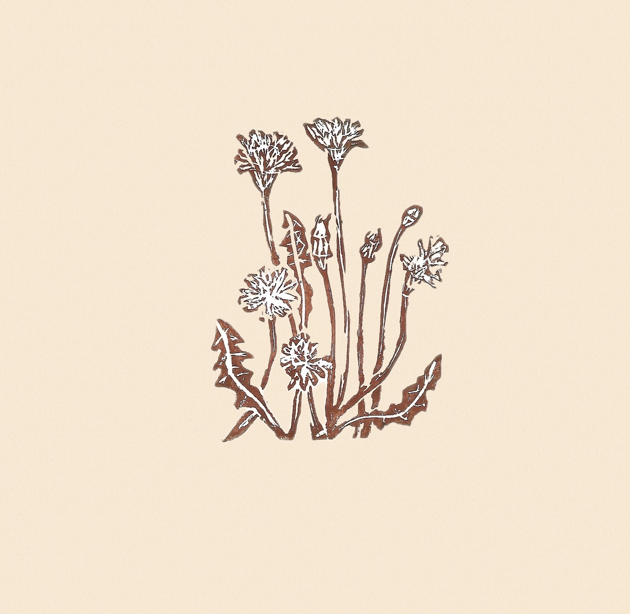 IMG_6148 (6) (2).jpeg