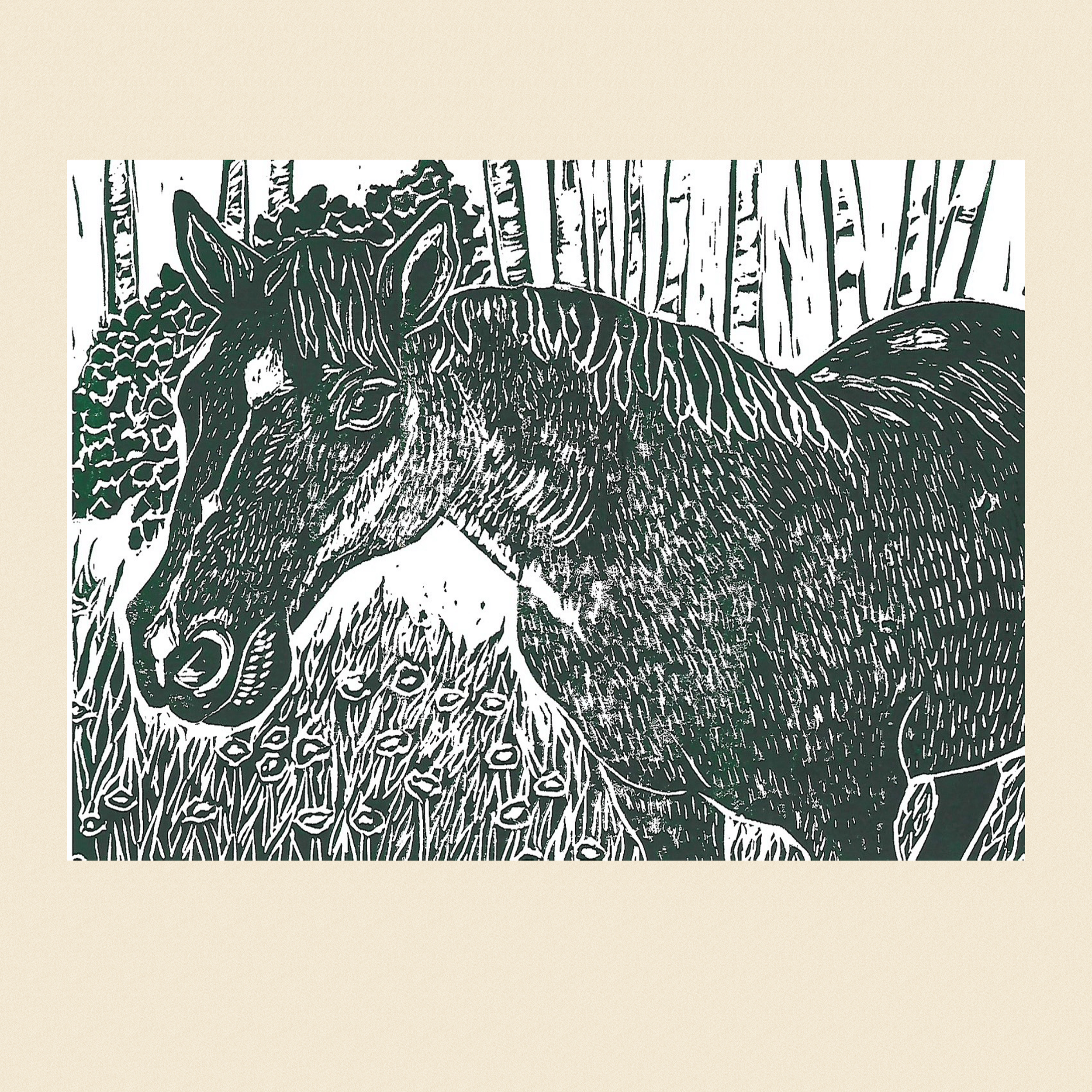 Horse 6x9 Print