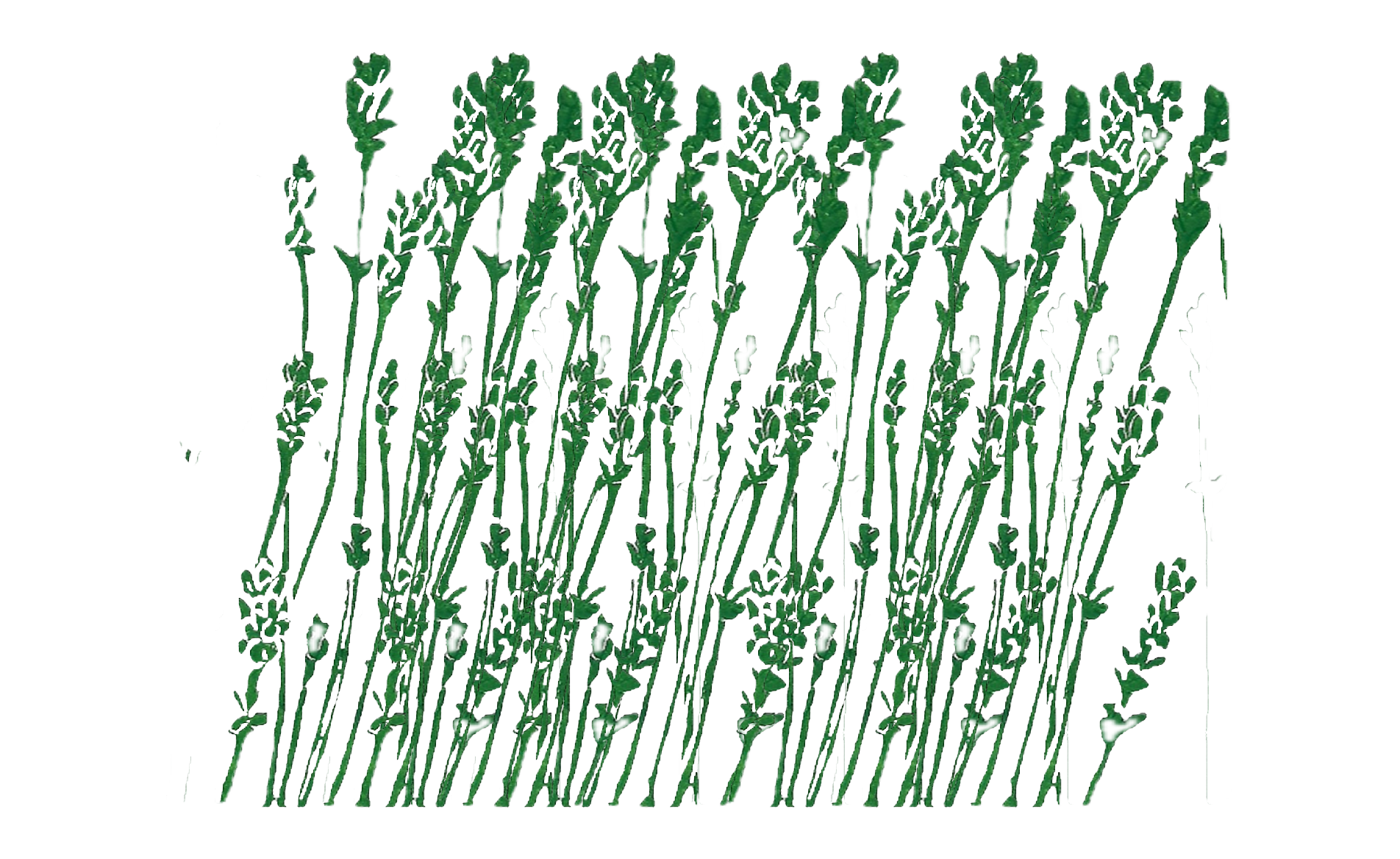 2025-12-13_220644 (4).png