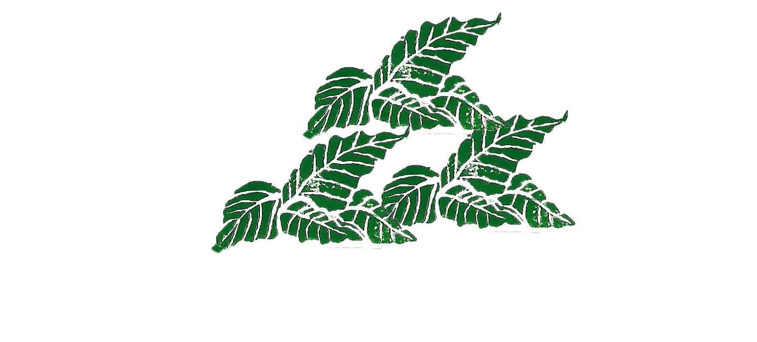 Photo_2025-12-13_175250 (1).png