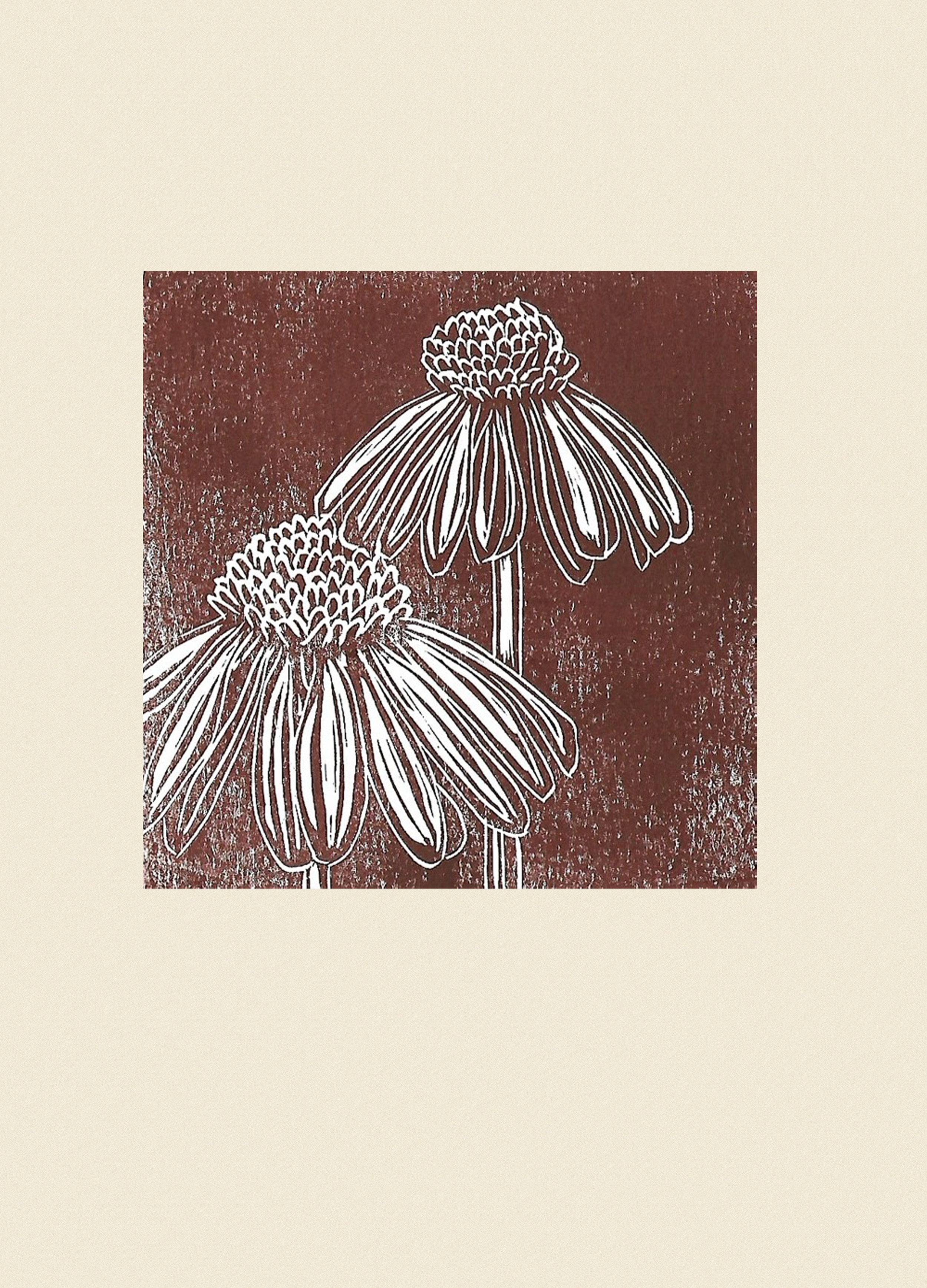 Echinacea 6x9 Print