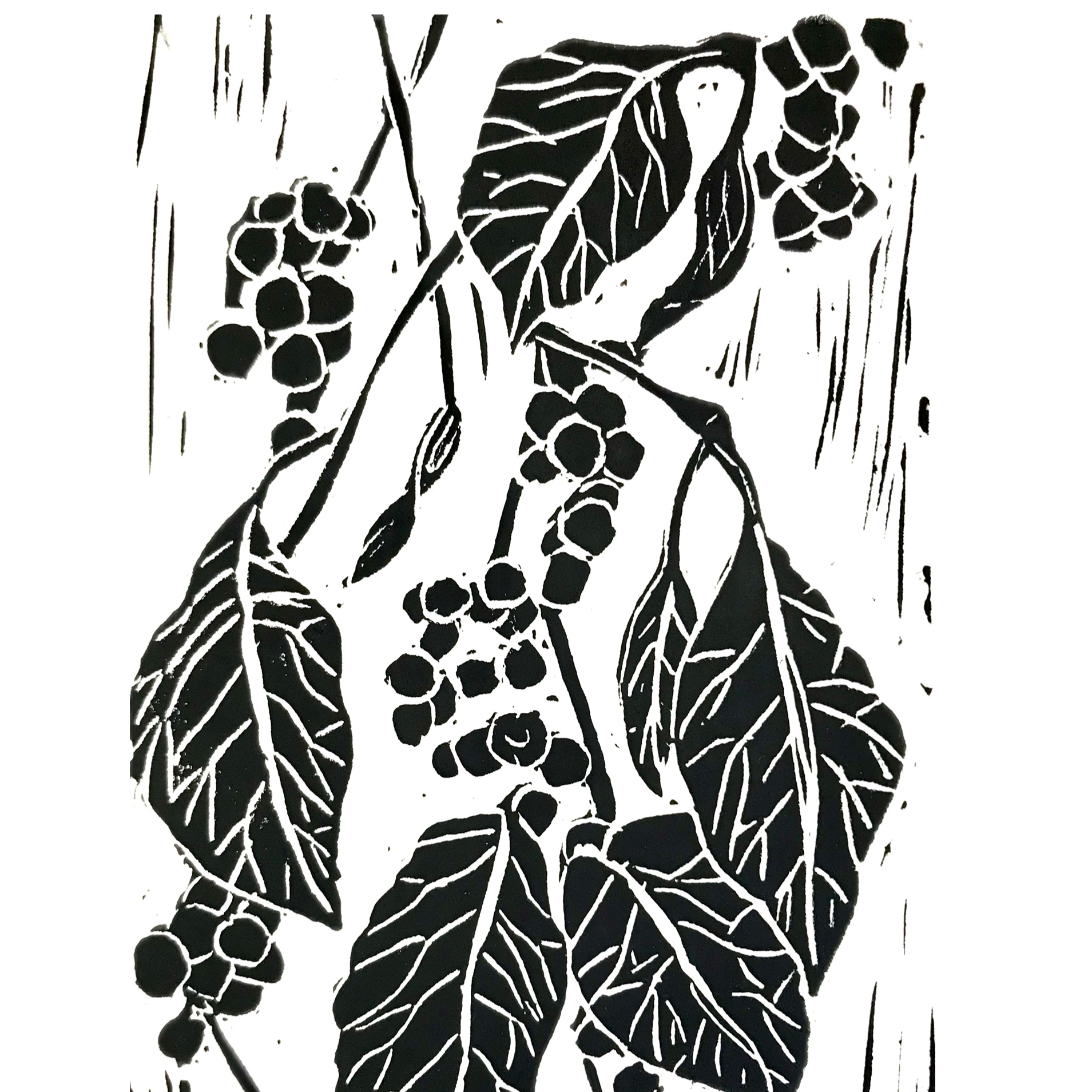 5x7 Block Print Cards - Plants Collection