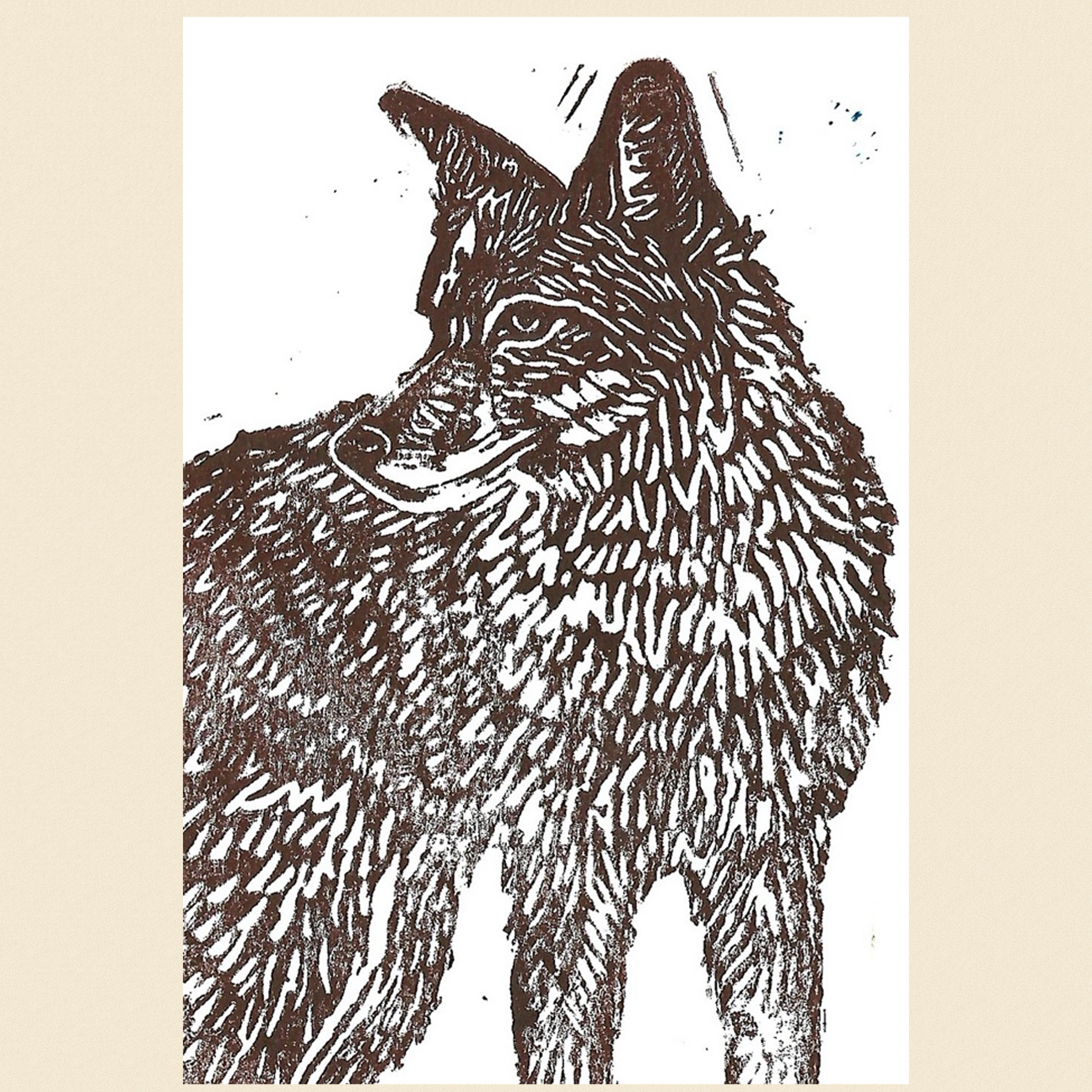 Coyote 6x9 Print