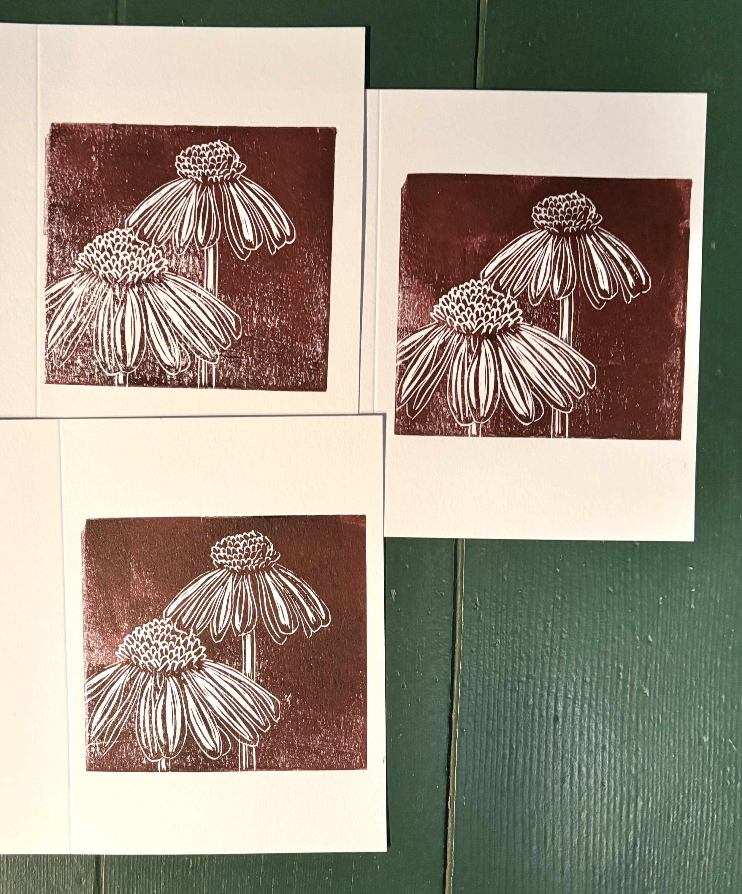 IMG_7770 - February 2, 2026 10.01.21.png