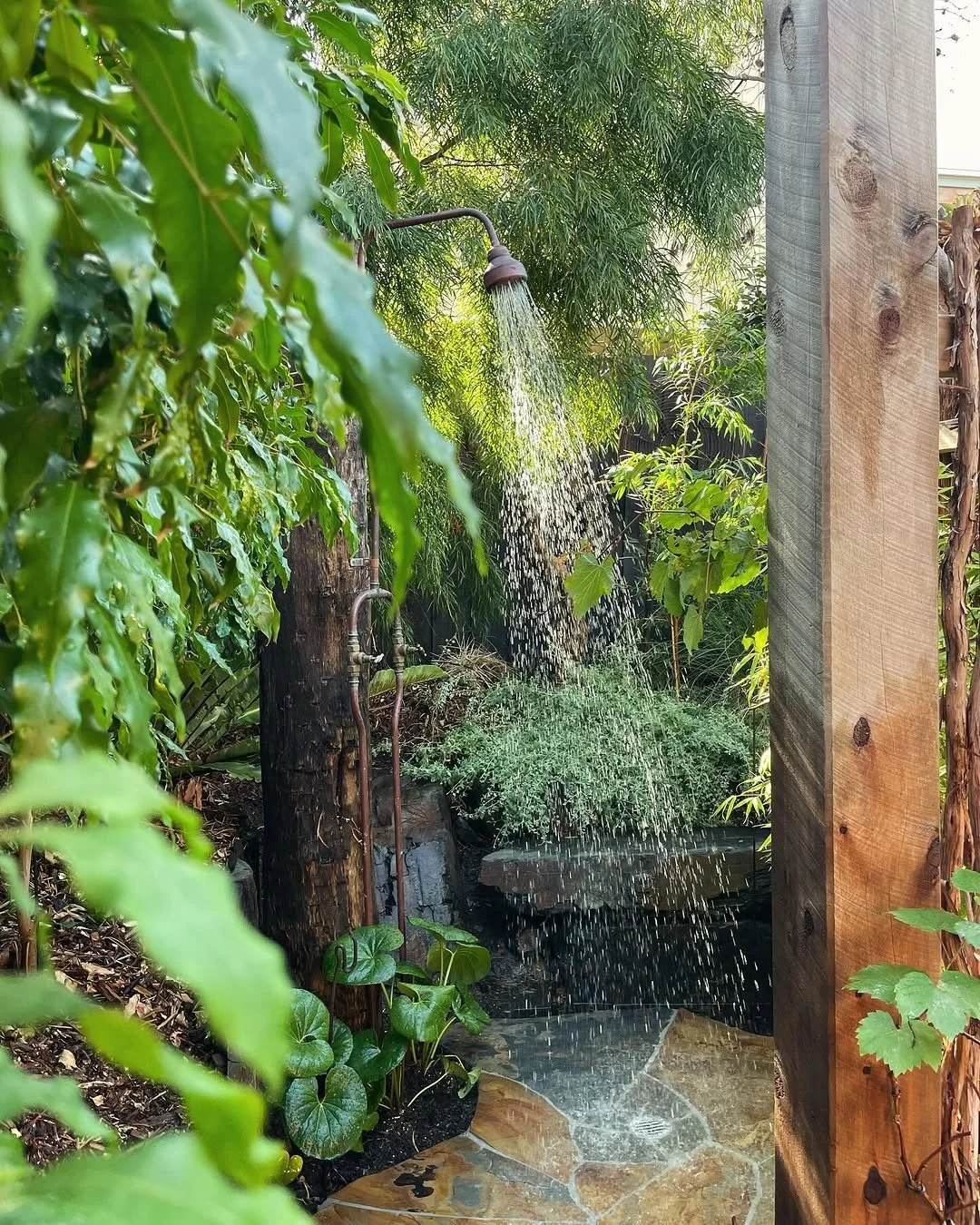 An outdoor shower with water spray, surrounded by lush green foliage and plants, with a stone path in the foreground.