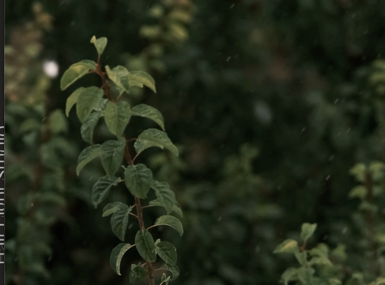 Screenshot 2025-09-18 at 12.33.59 PM.png