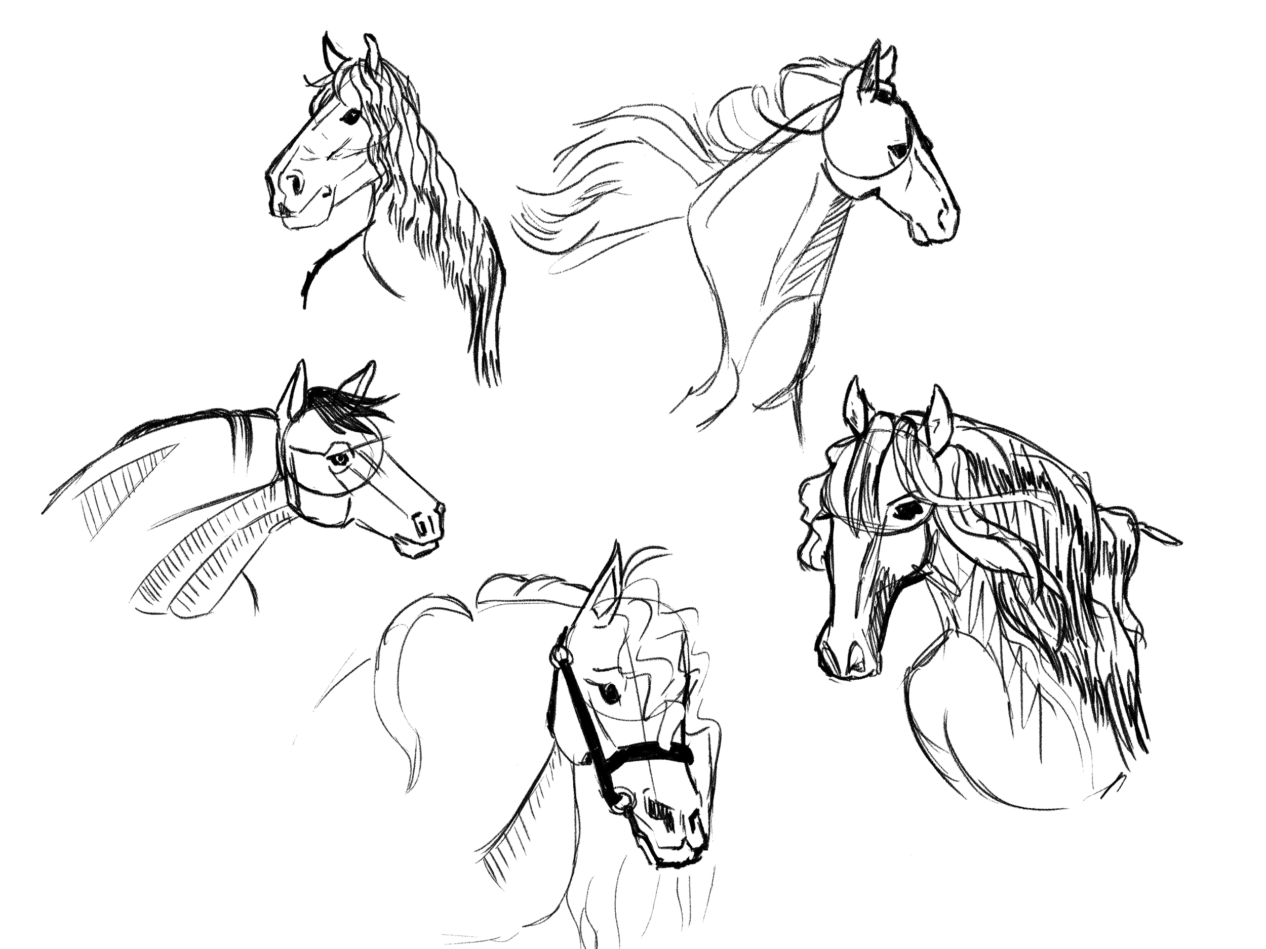horse_heads.png