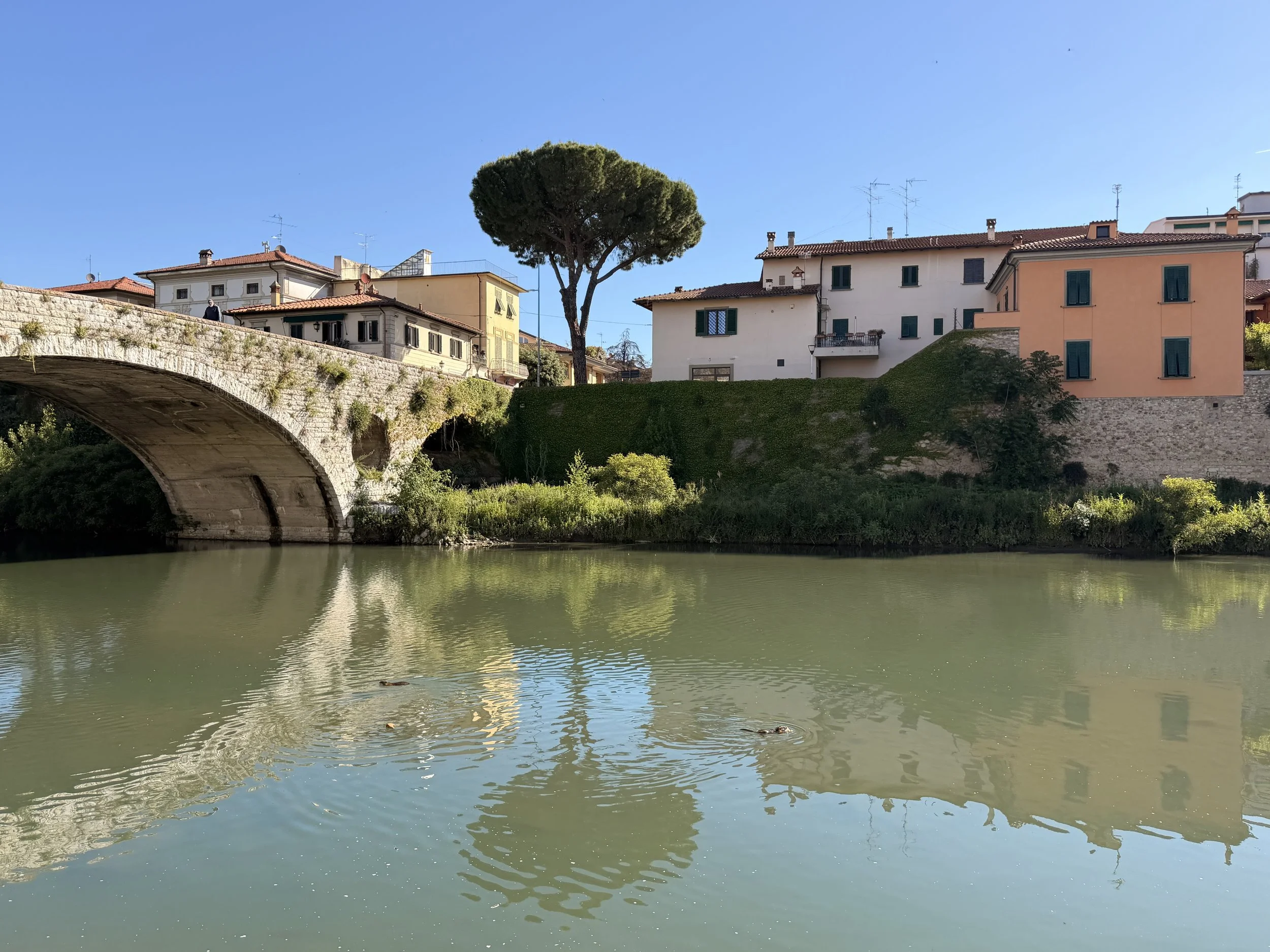 Photo of bridge in Prato, Italy, reflected on the water of the river. 2 otters swimming in the river.