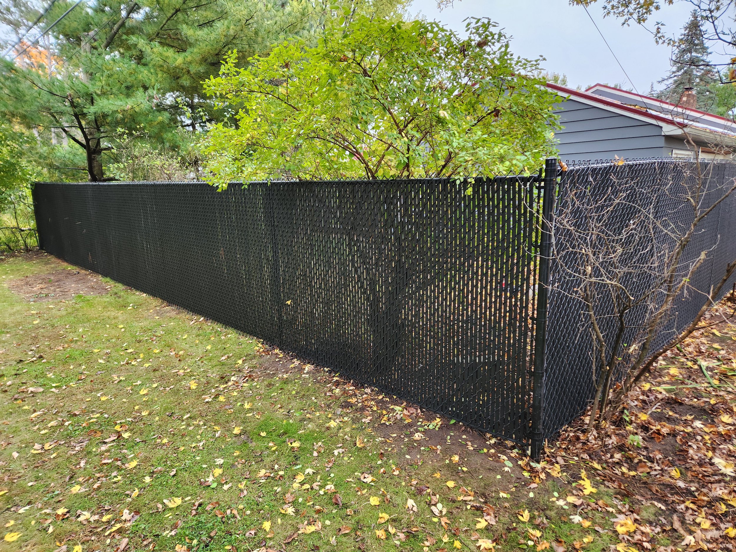 Black chain-link fence runs along the edge of a yard with grass and fallen leaves. Behind the fence, there are trees with green and some yellow leaves, and part of a gray house with a red roof is visible in the background.