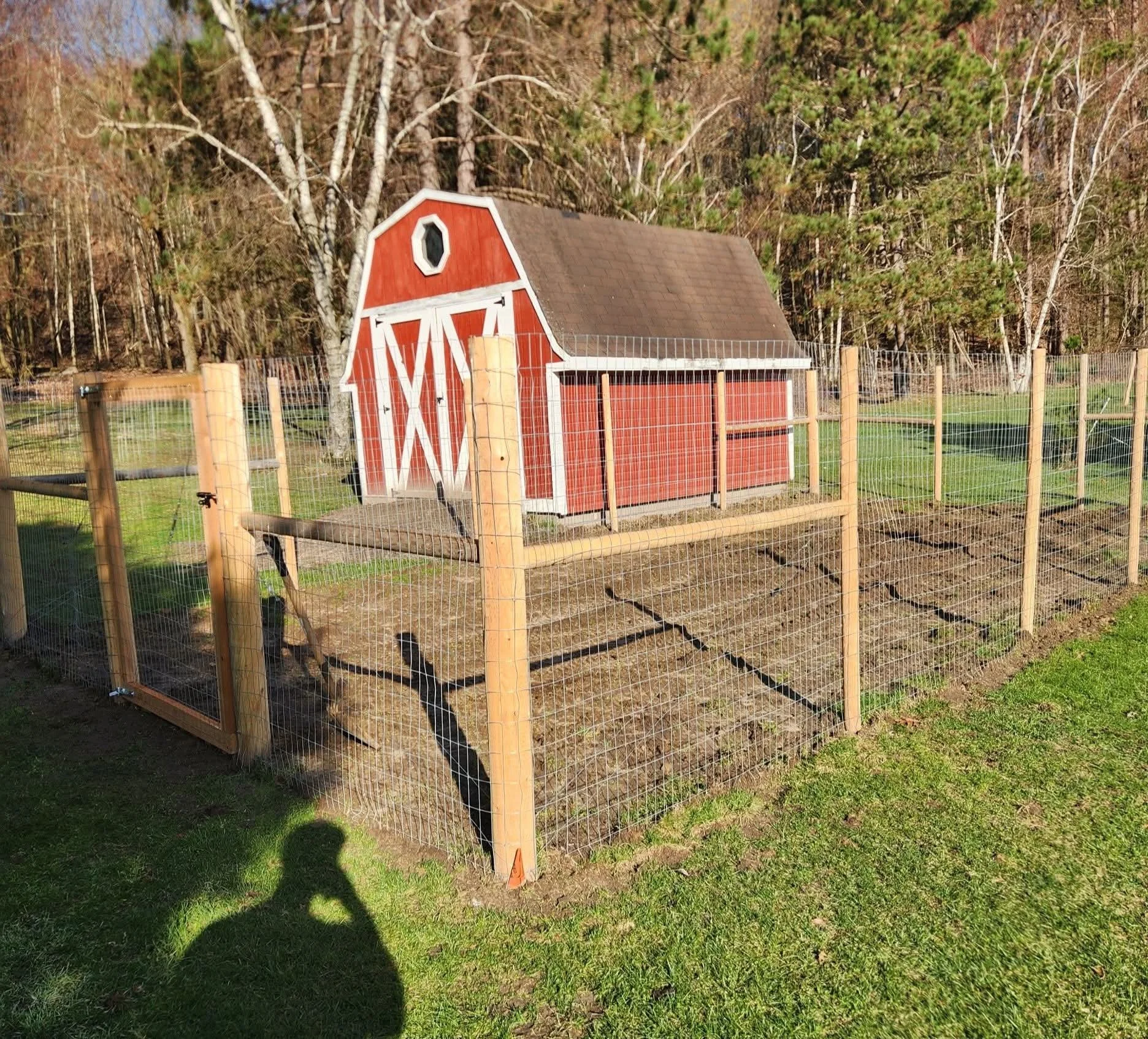 A red and white barn-style chicken coop with a wire fence surrounding it, set on a grassy lawn with trees in the background.