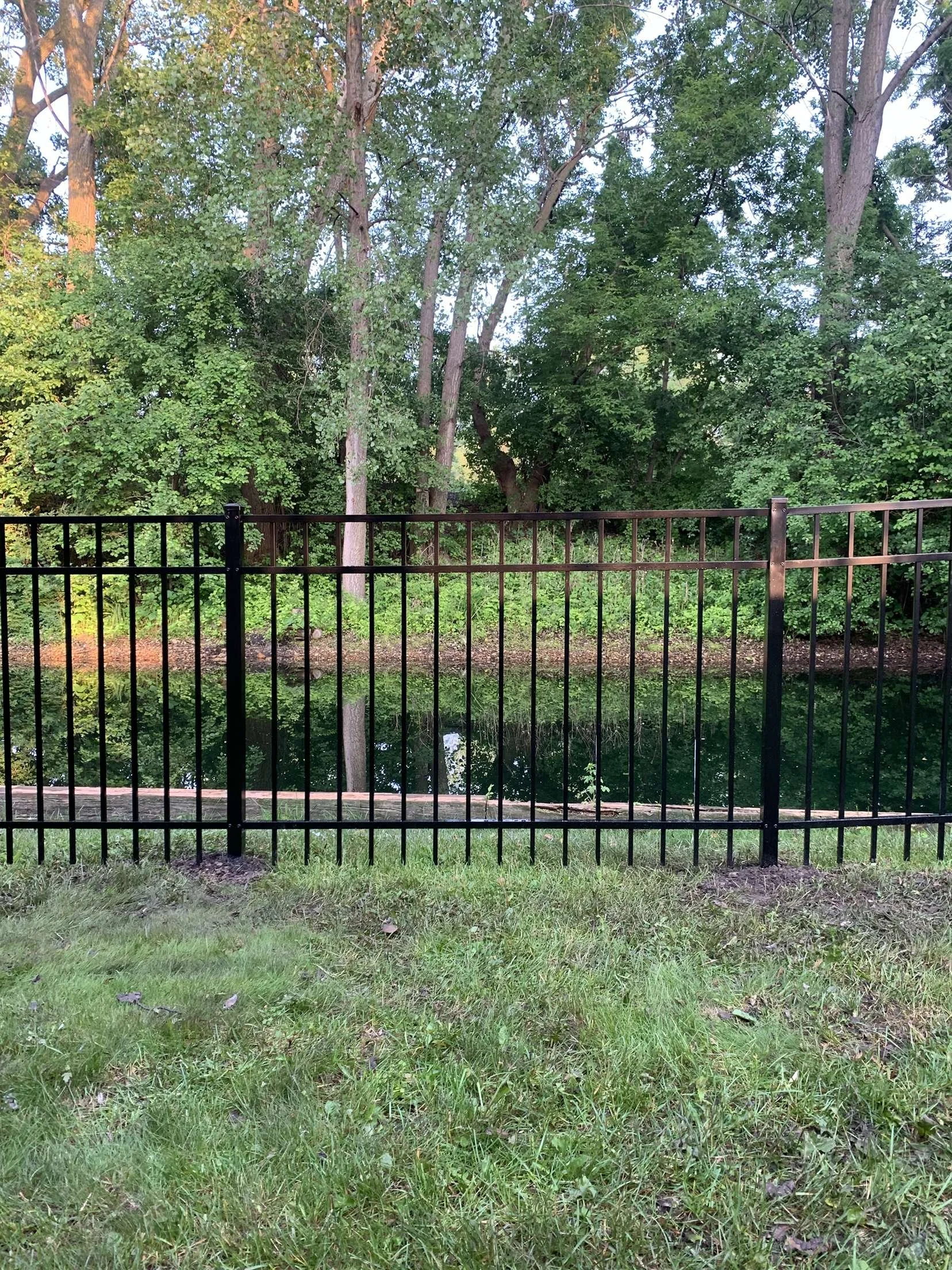 A black metal fence with vertical bars and horizontal supports in front of a green pond and dense trees and foliage.