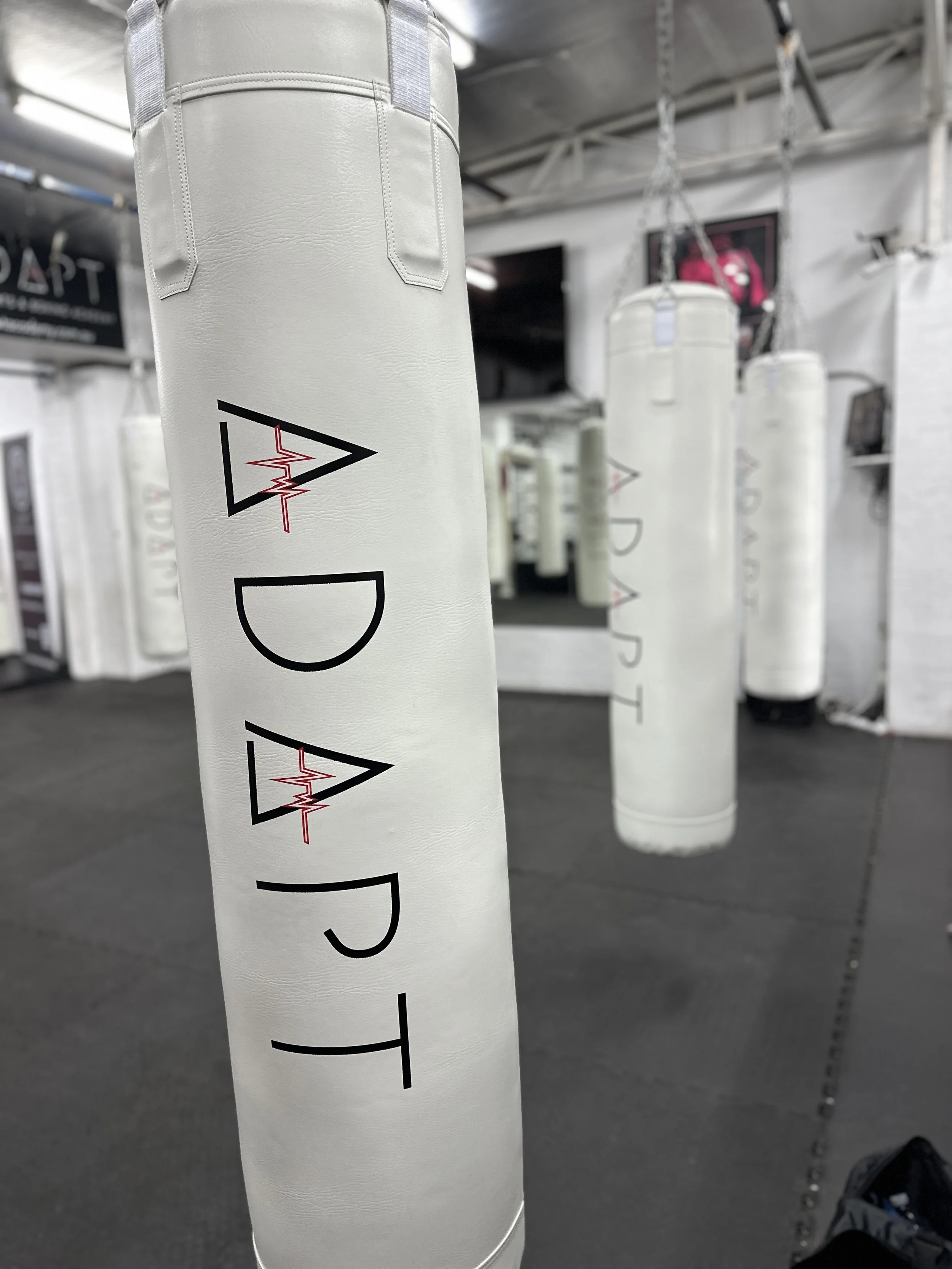 ADAPT ACADEMY | Wollongong's Home for Hapkido Martial Arts and Boxing ...