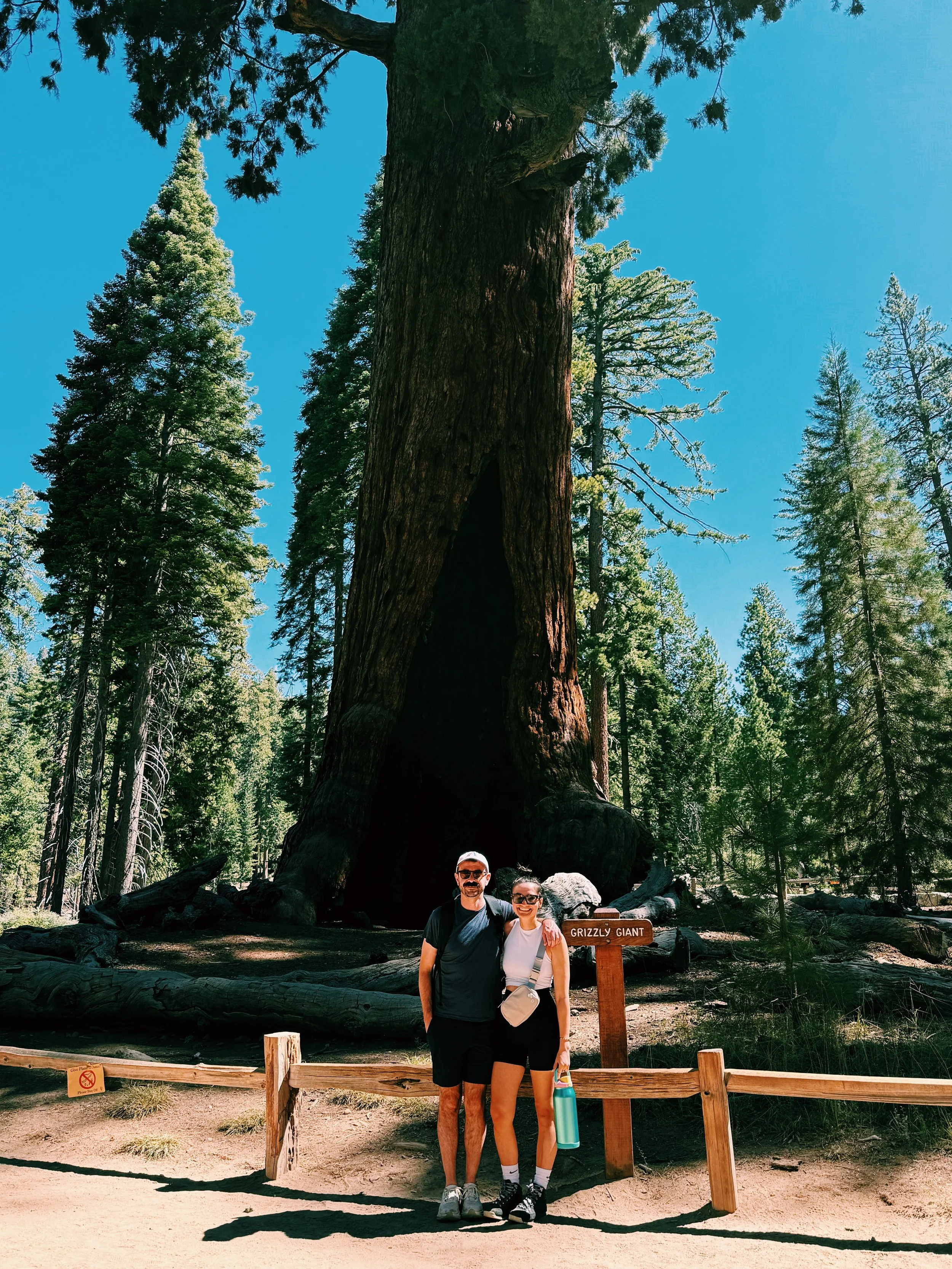 Touching Grass in Yosemite  