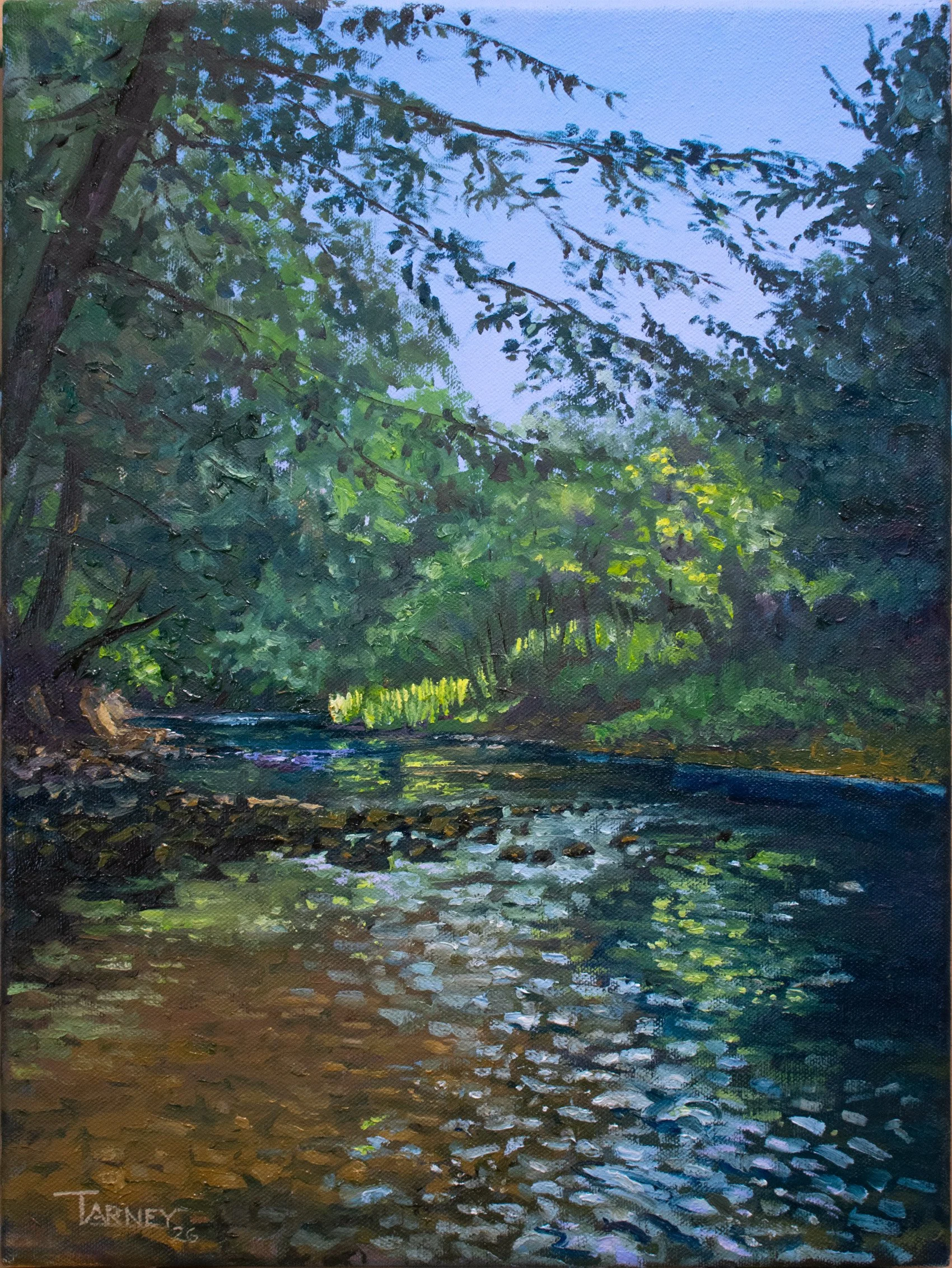 A Perfect Day on Spring Creek