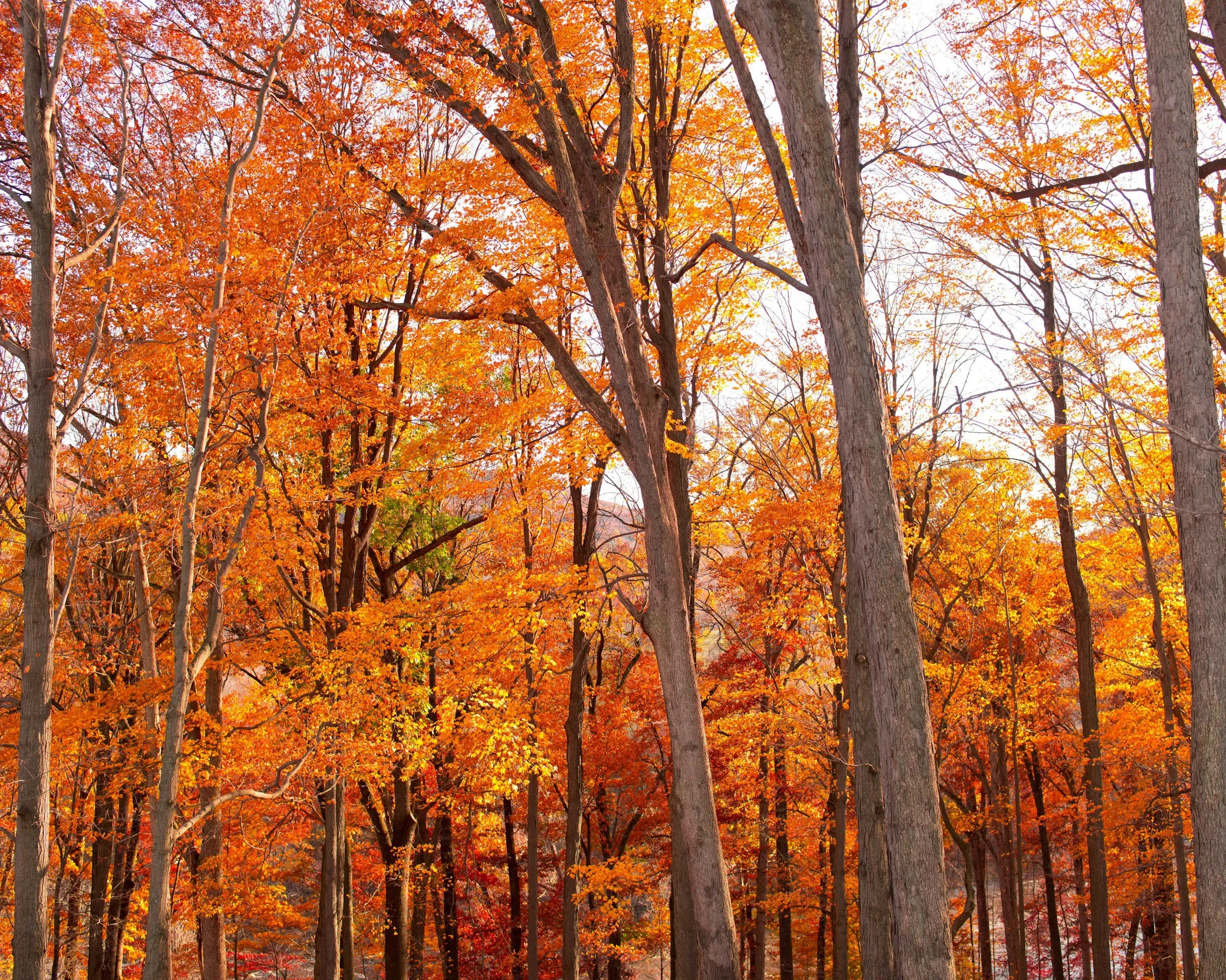 Northeast Fall Retreat