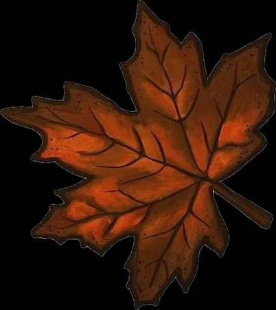 A brown maple leaf on a black background.