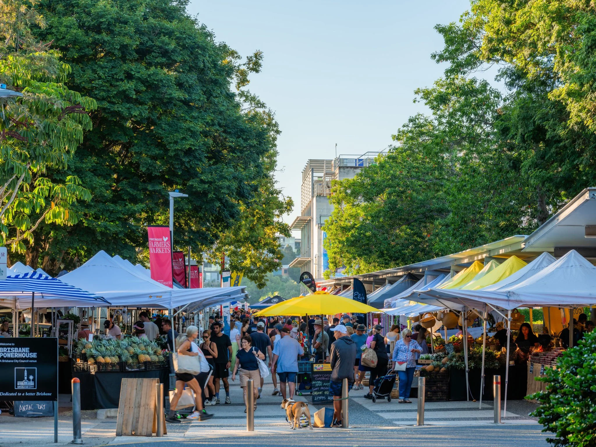 LEDA New Farm - Market