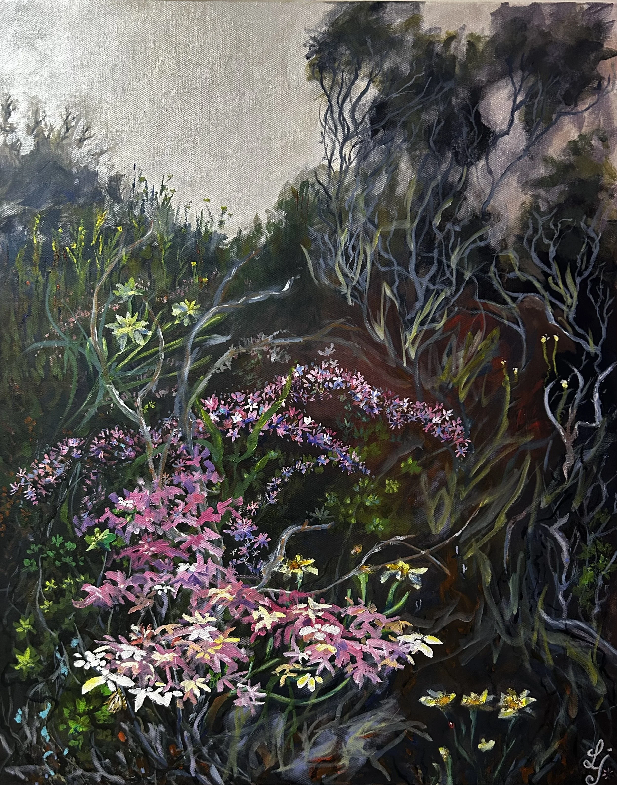 Wild Bloom
Oil on stretched canvas
61 x 76 cm