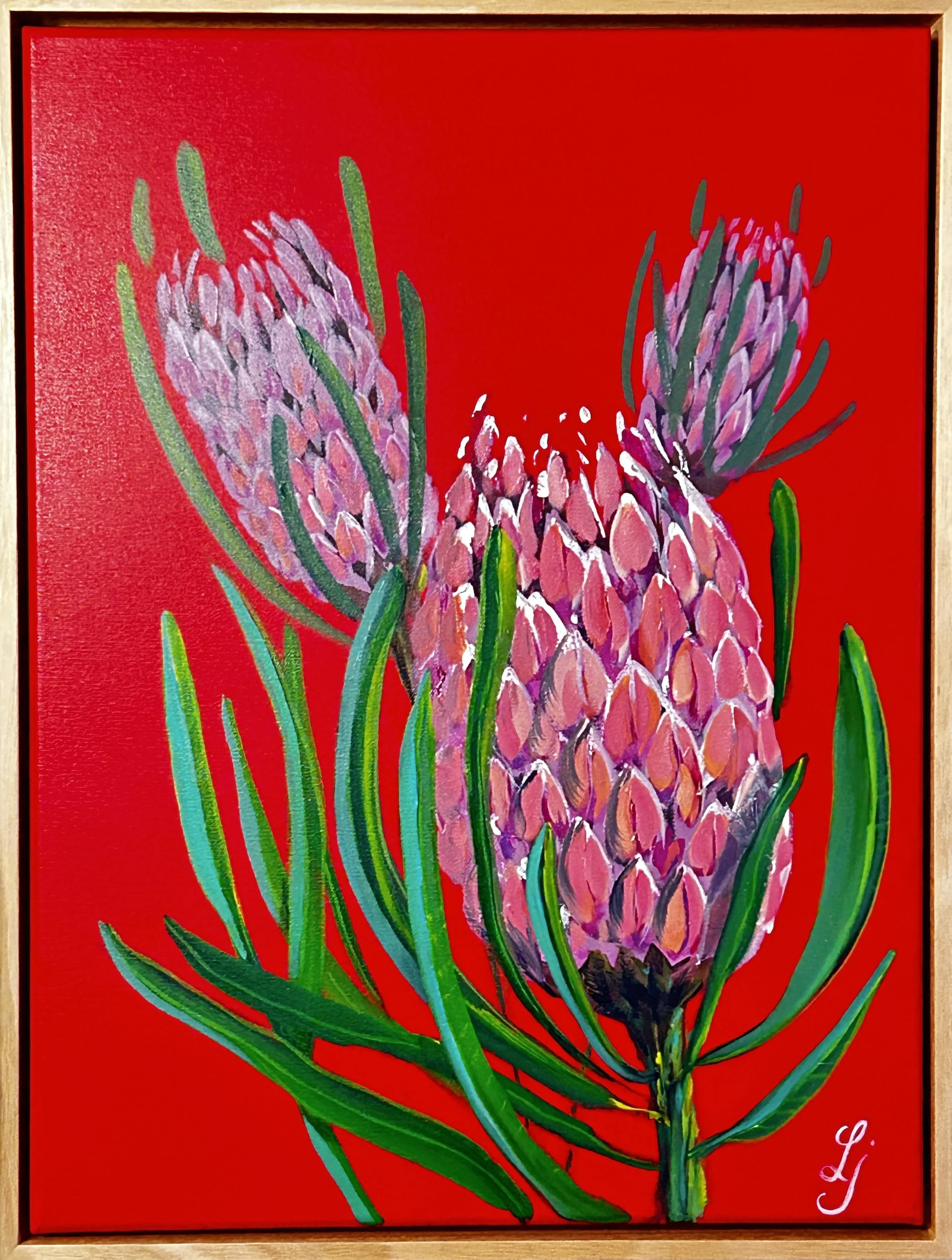 Proteas
Oil on stretched canvas and framed
49 x 64 cm