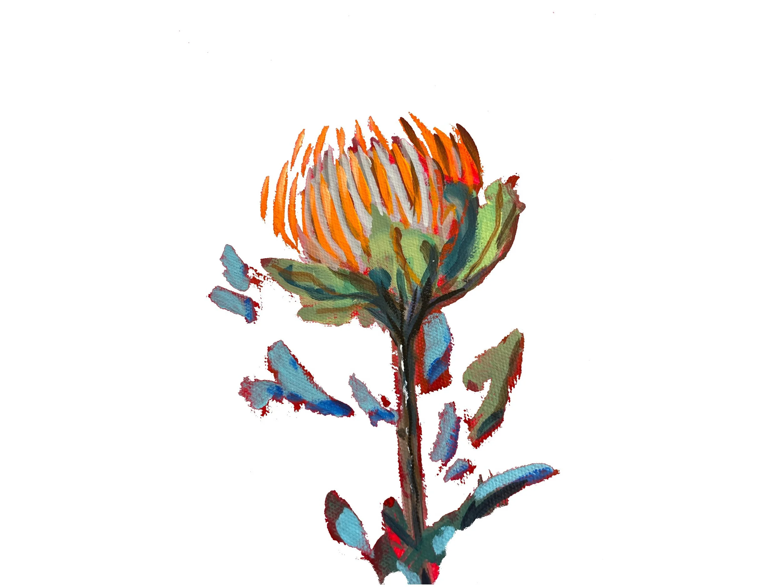 A  painted Protea flower motif of orange and green with several loose blue and red leaves on a white background.