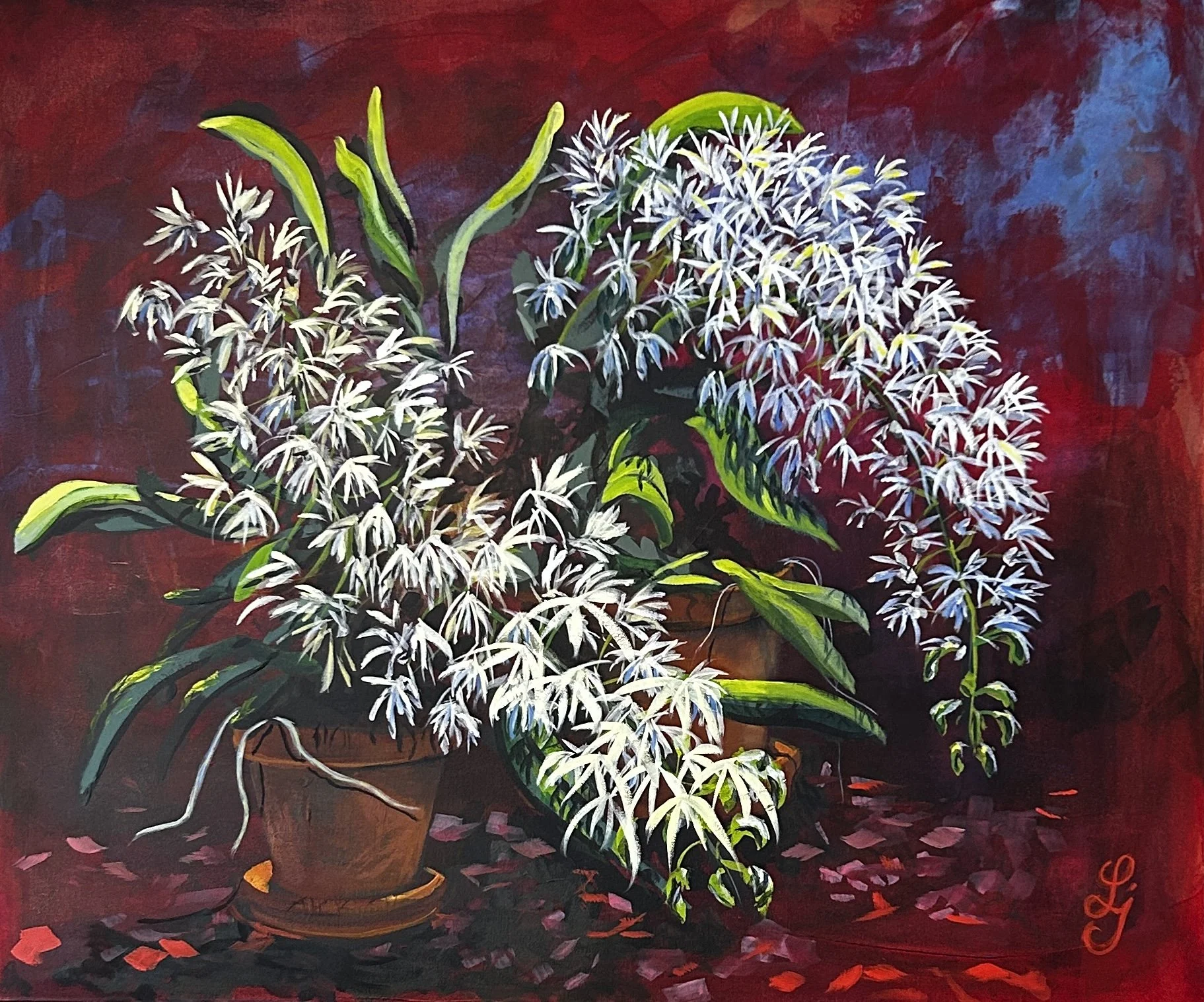 Sydney Rock Orchids
76 x 92 cm
oil on stretched canvas