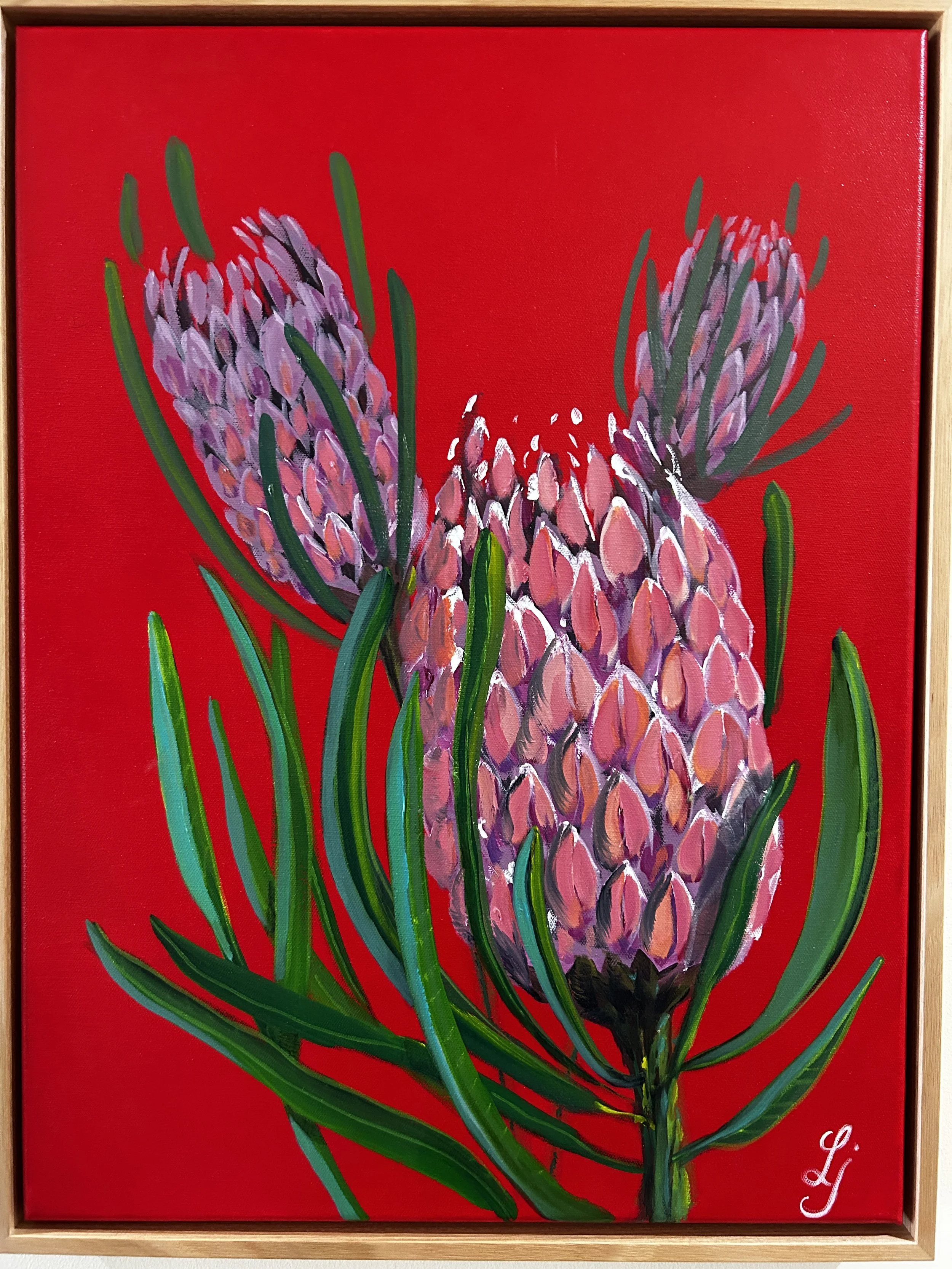 Proteas