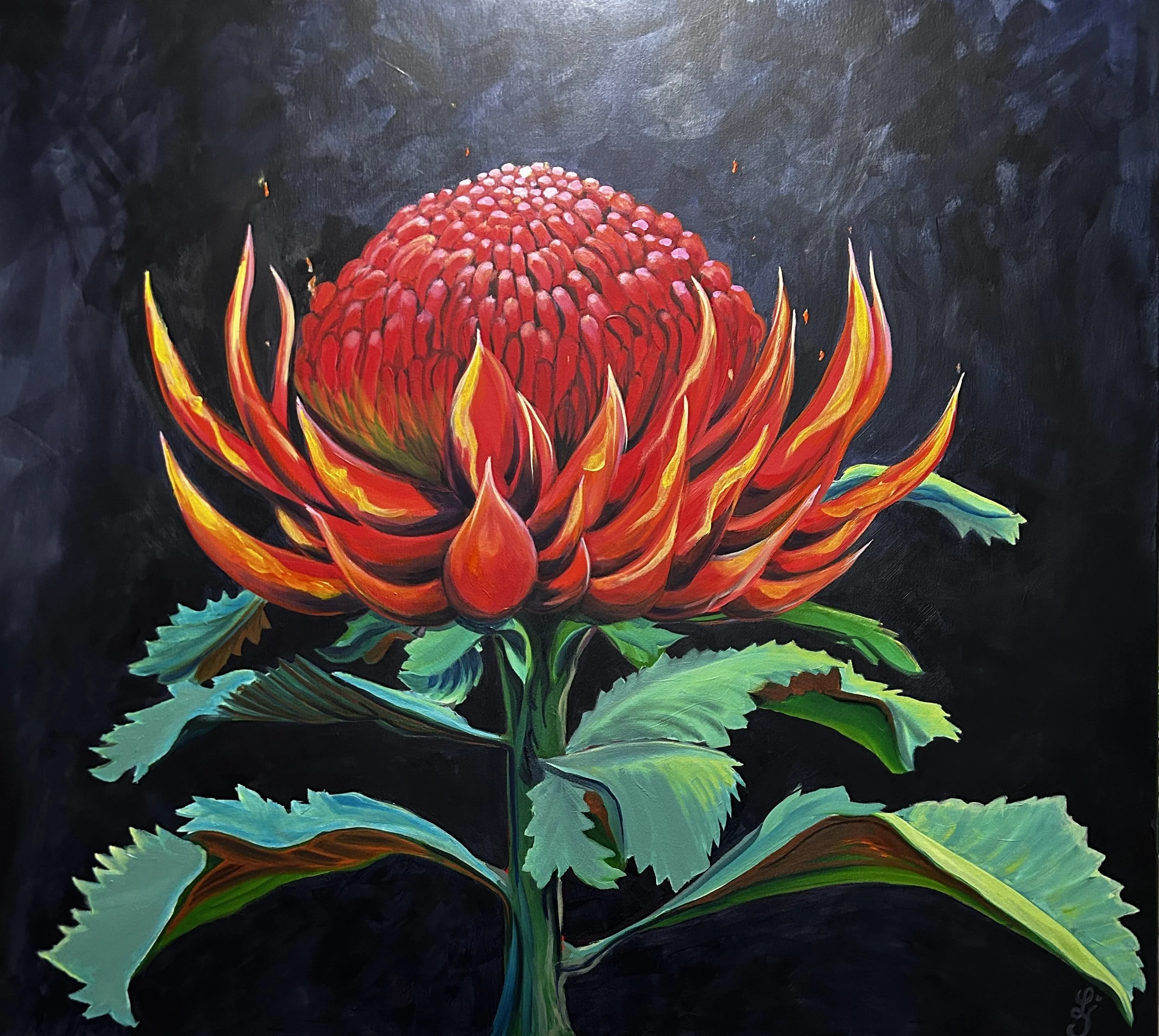Fire Flower
92 x 102 cm
Oil on stretched canvas