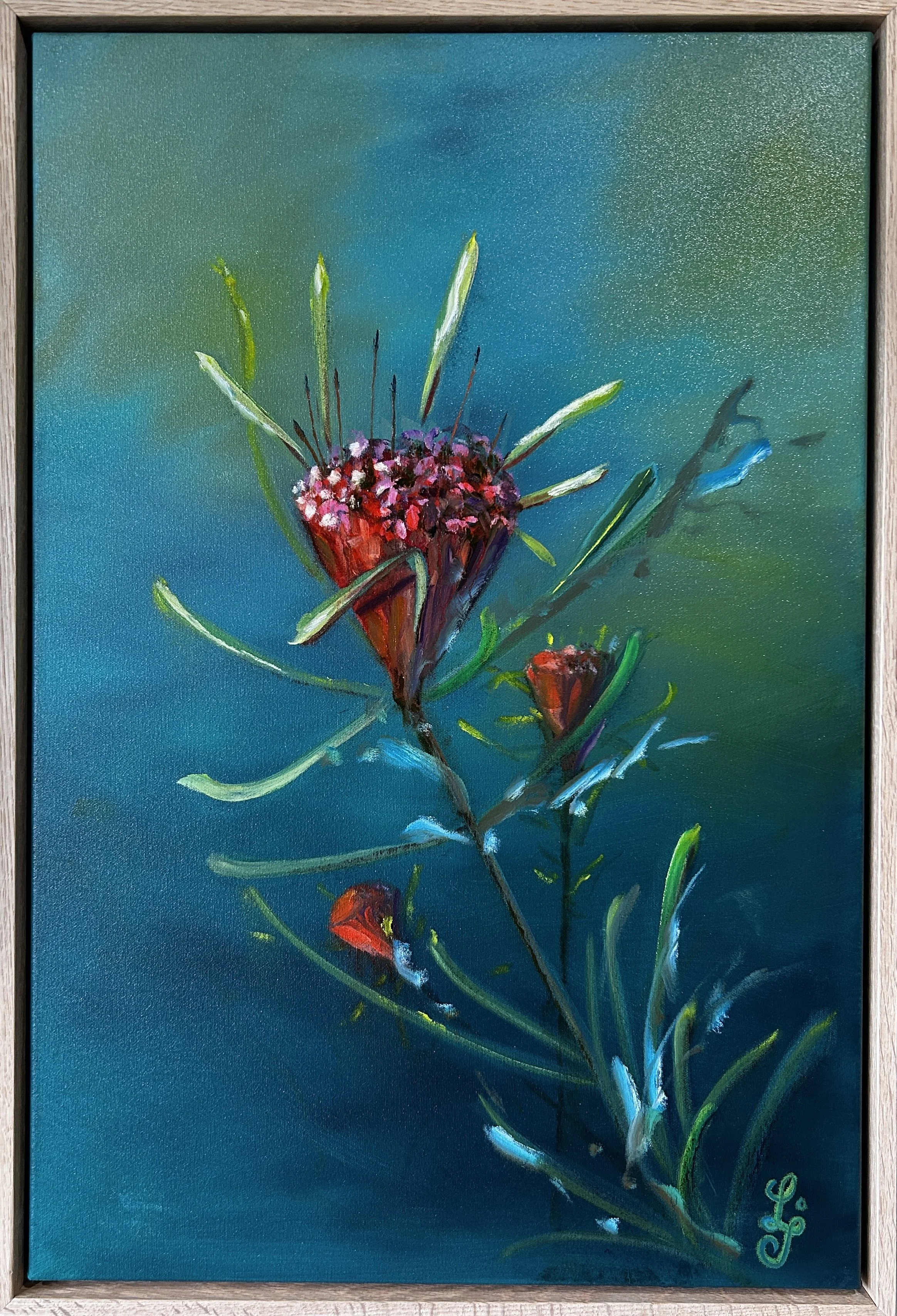Lambertia
Oil on stretched canvas and framed
63 x 43 cm
