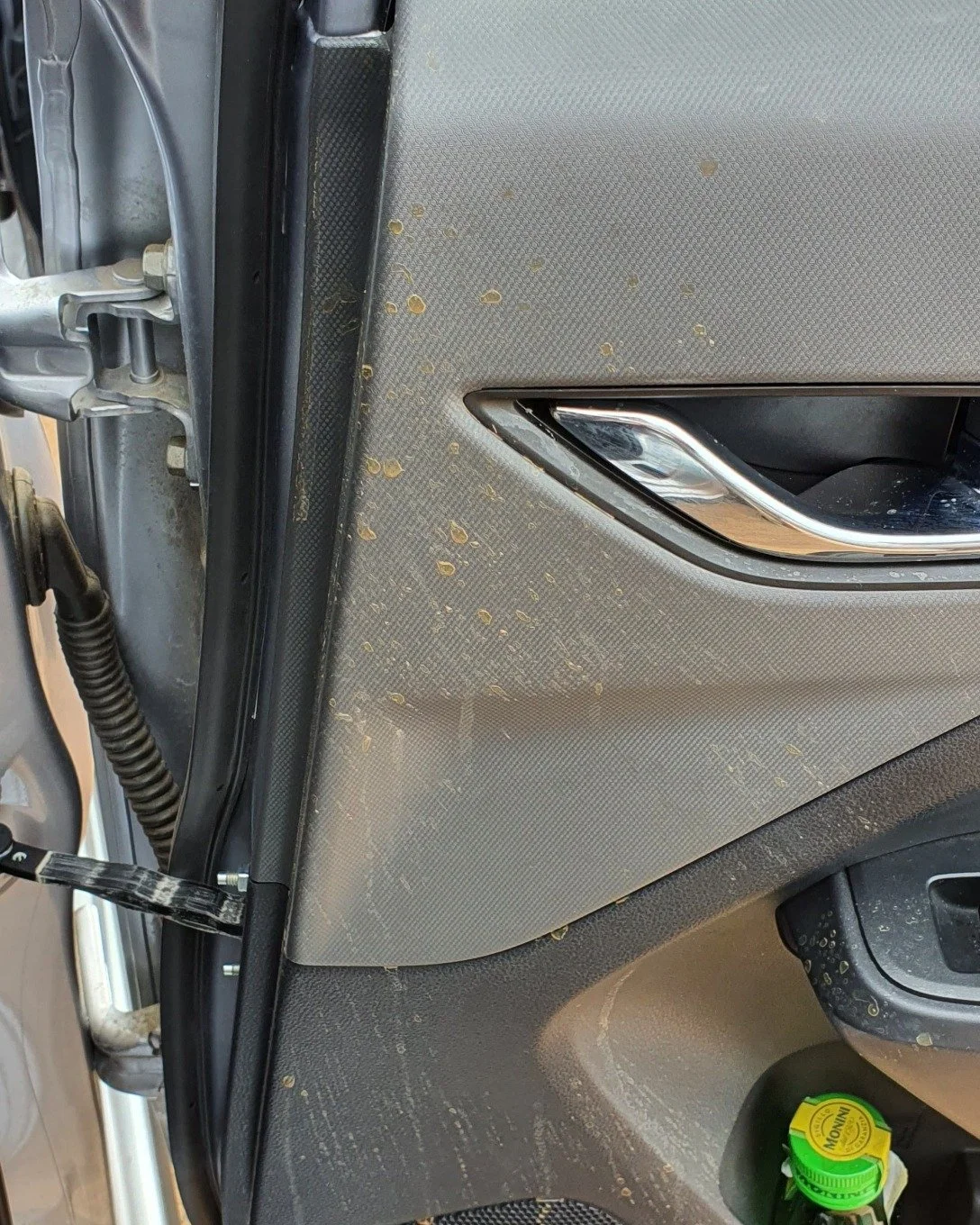 2024 Subaru in for a Mobile Interior Detail

Harford Auto Studio.
Paint Protection - Ceramic Coating - Detailing