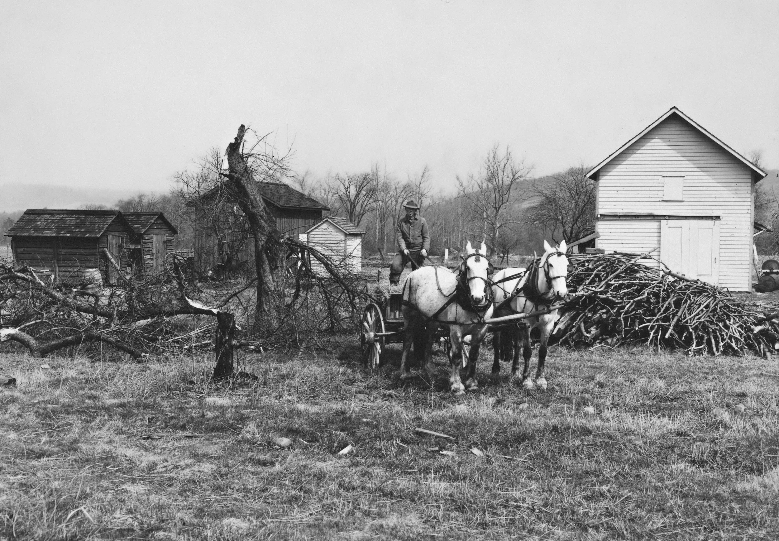 Thanksgiving on a Horse-Powered Farm