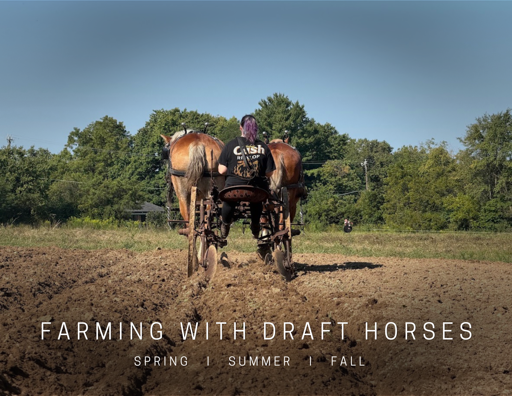 Farming with Draft Horses Series