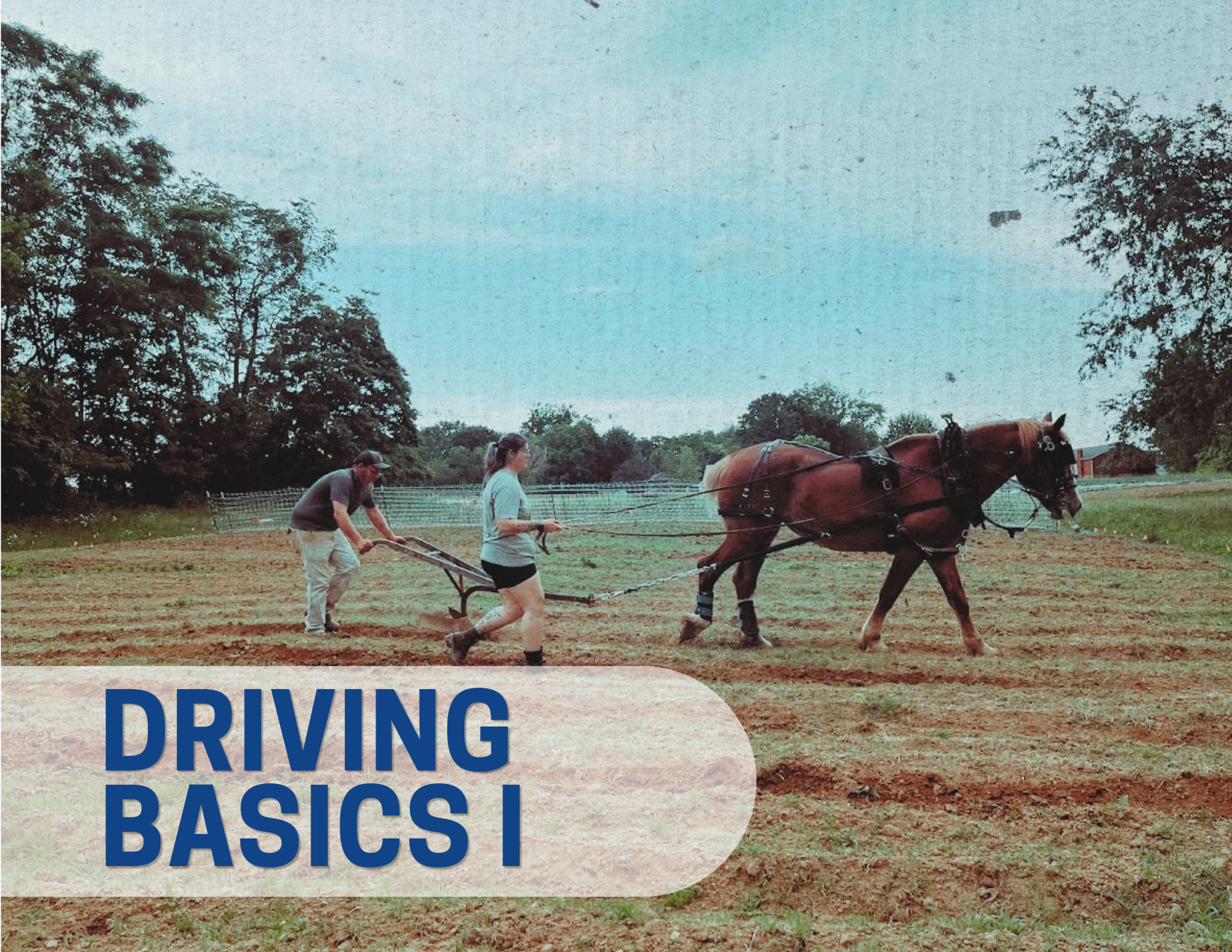 Driving Basics I
