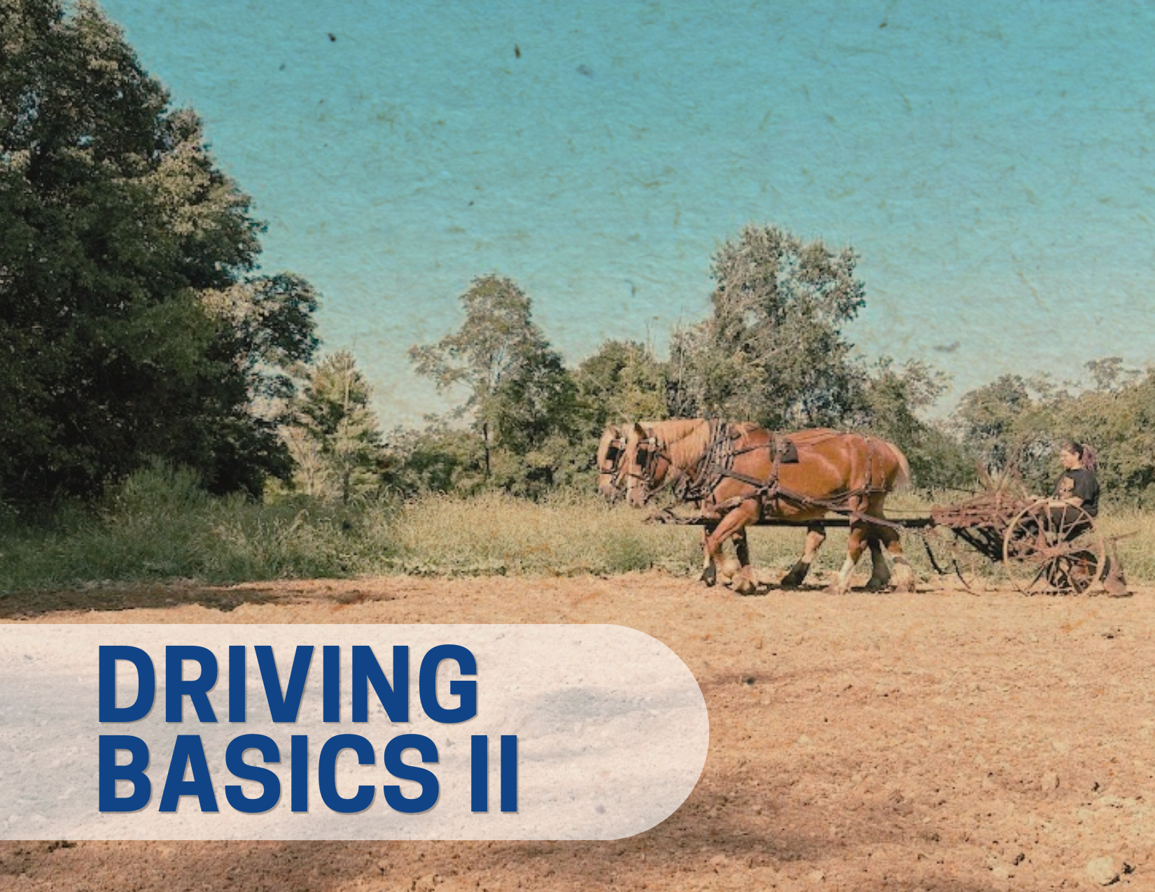 Driving Basics II