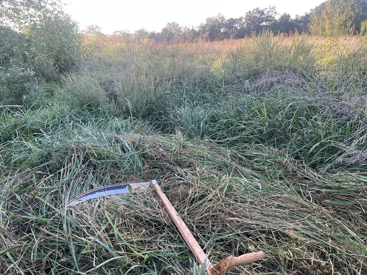 The right tool for the job includes human power.