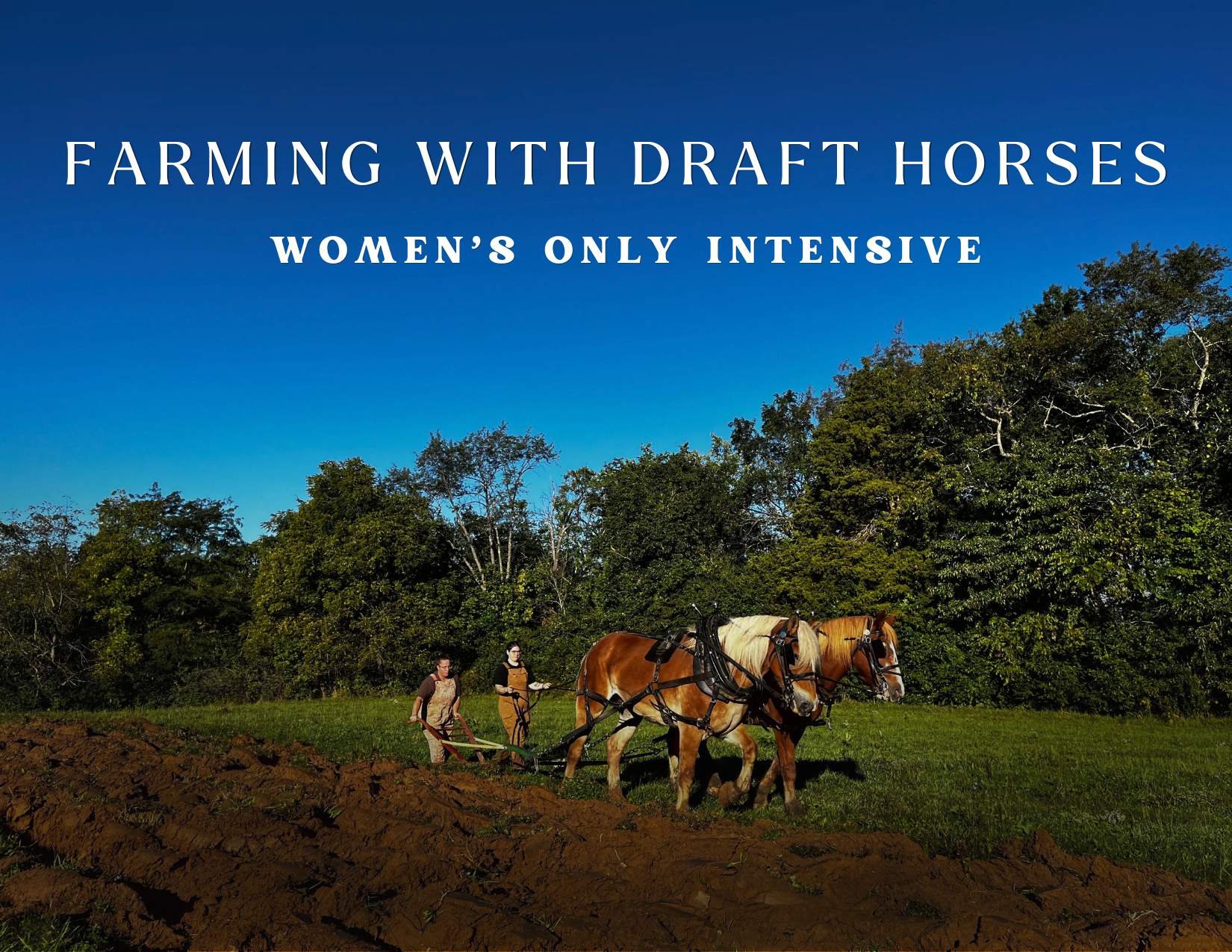 Farming Intensive (Women Only)