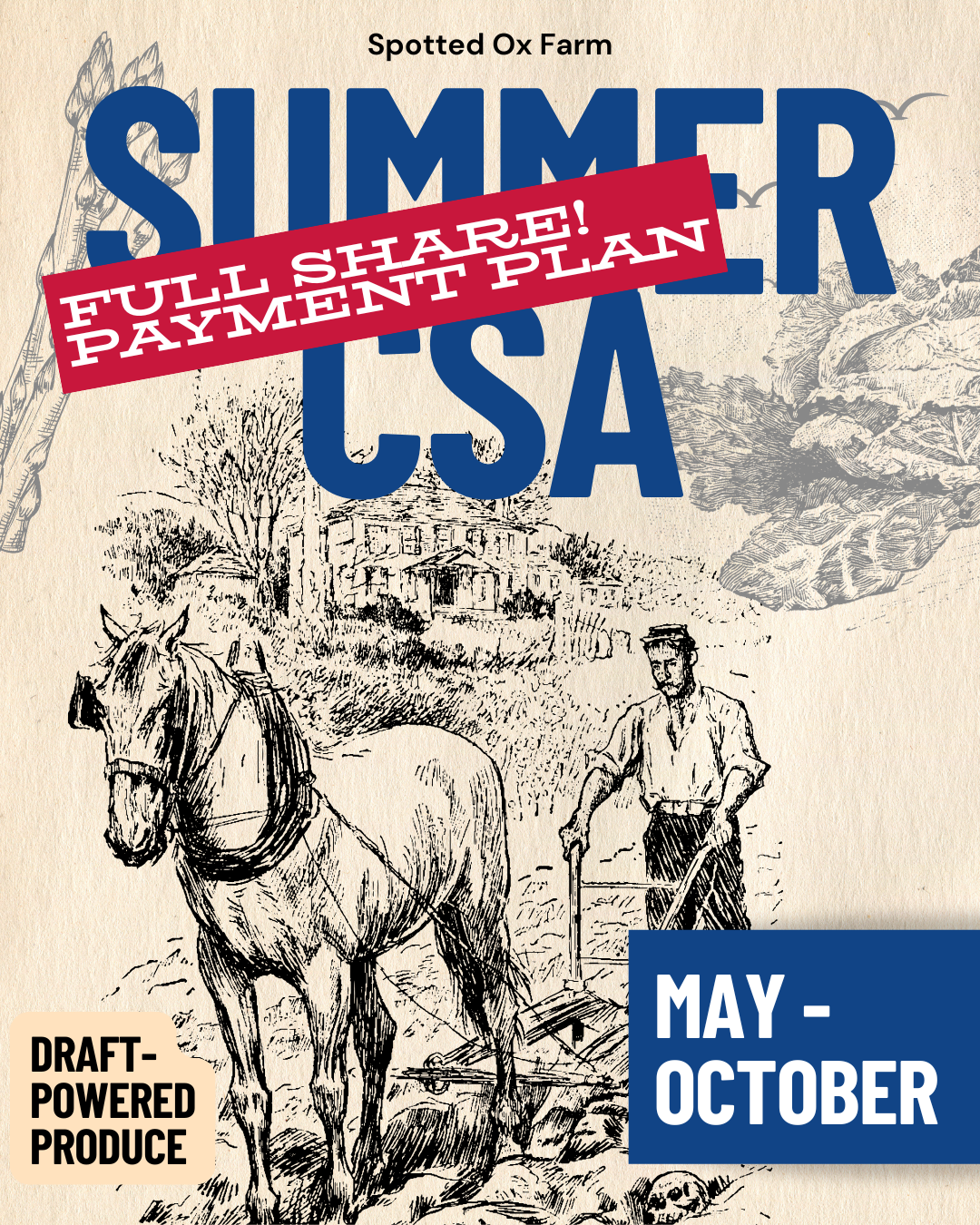 Summer CSA Full Share: Payment Plan