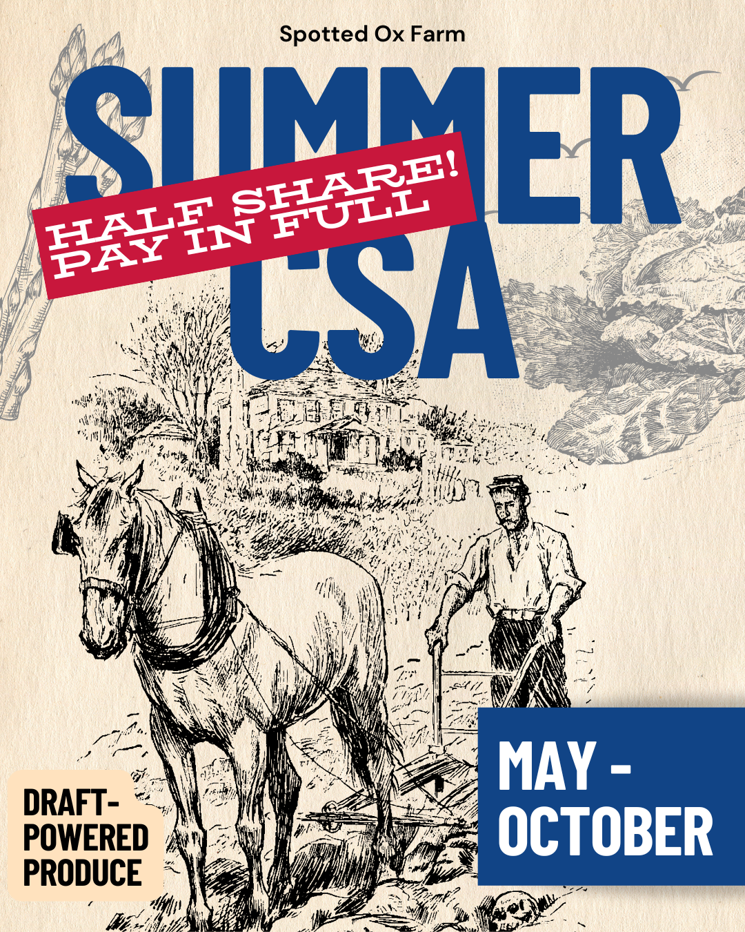 Summer CSA Half Share: Pay in Full