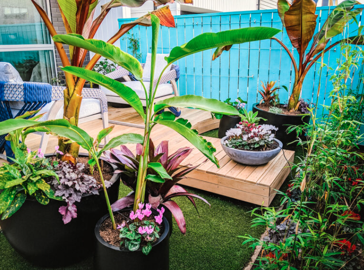 An urban apartment balcony designed by City Botanics, featuring an array of bespoke potted plants, lush greenery, and structural foliage arranged neatly on a modern timber deck.
