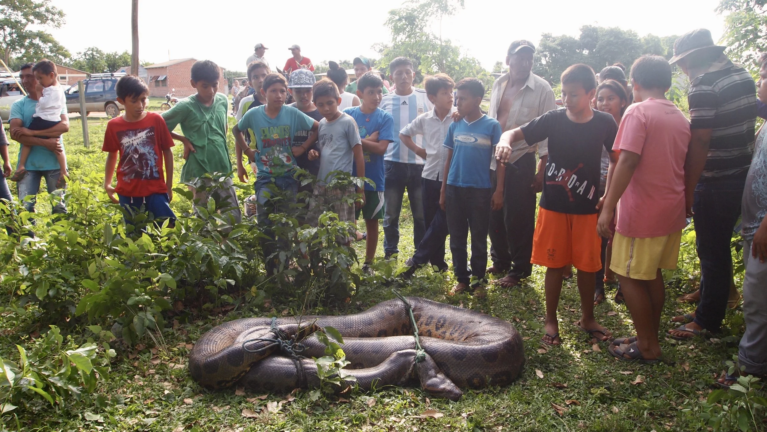 A documentary photograph from Bolivia, showing children and community members gathered around a large snake, featured in an investigative journalism piece for the NZ Herald.