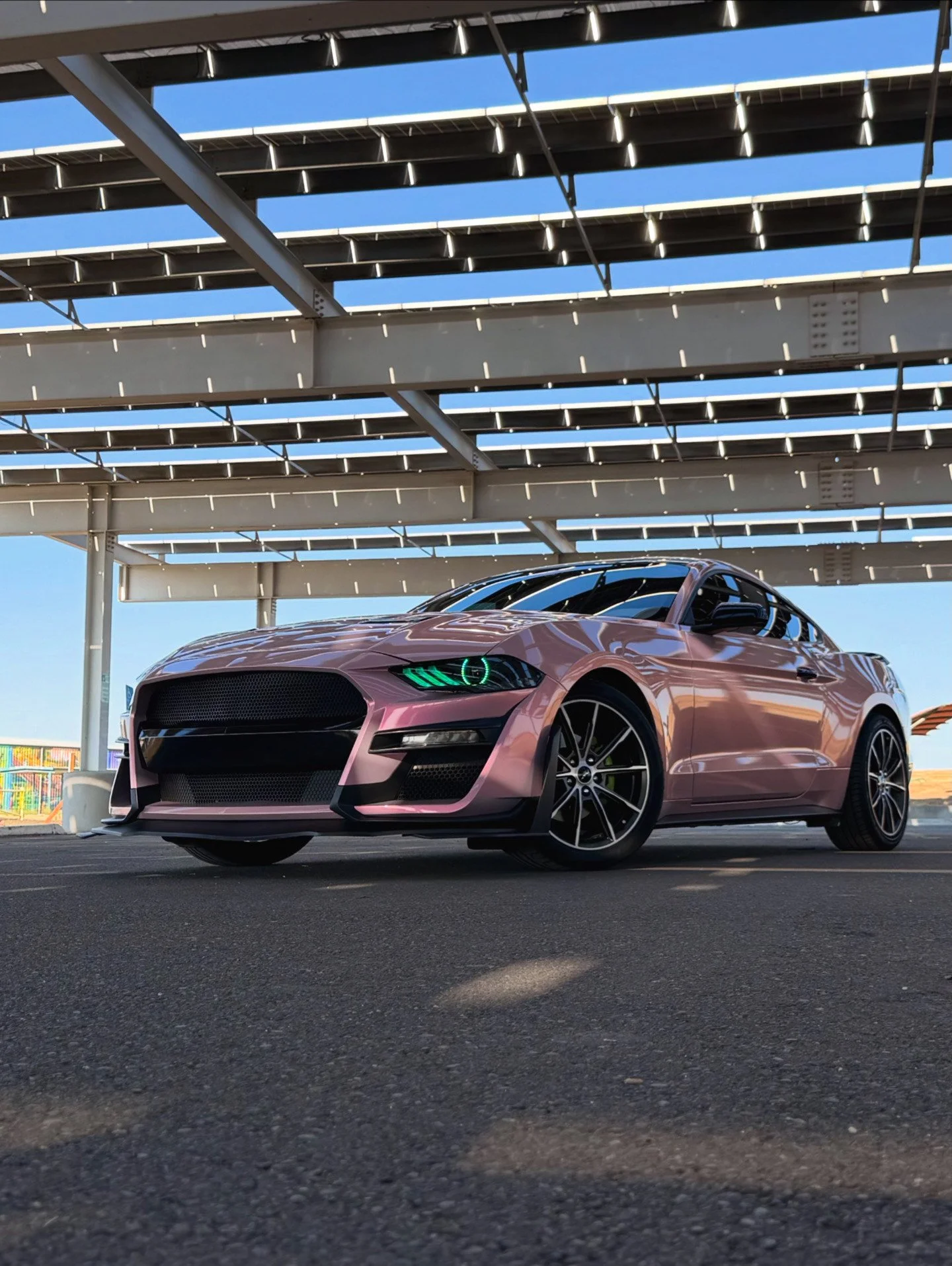 Liz, Founder - Empire Mustangs Car Club