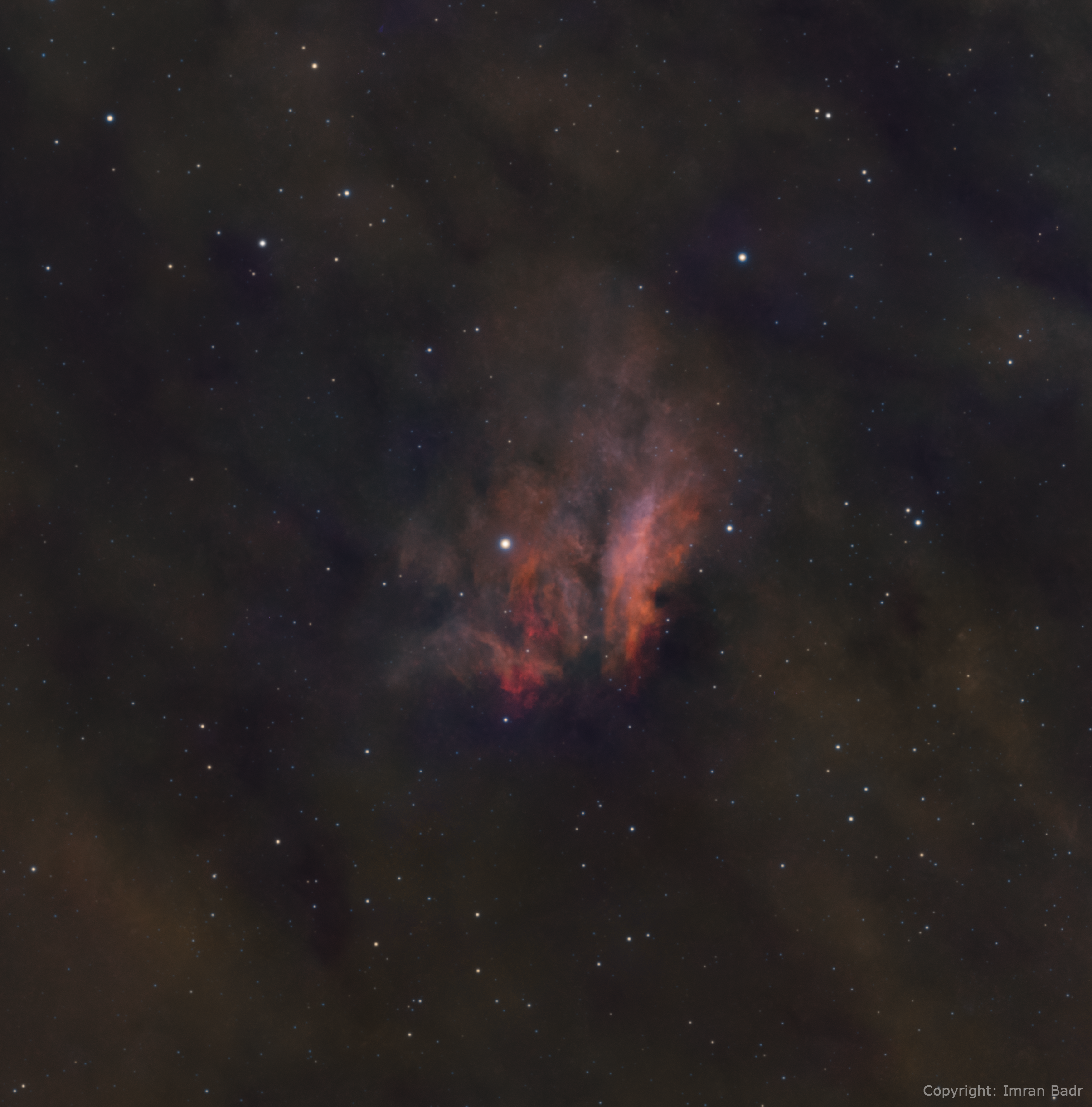 New Discovery - Badr 1 nebula in Cepheus