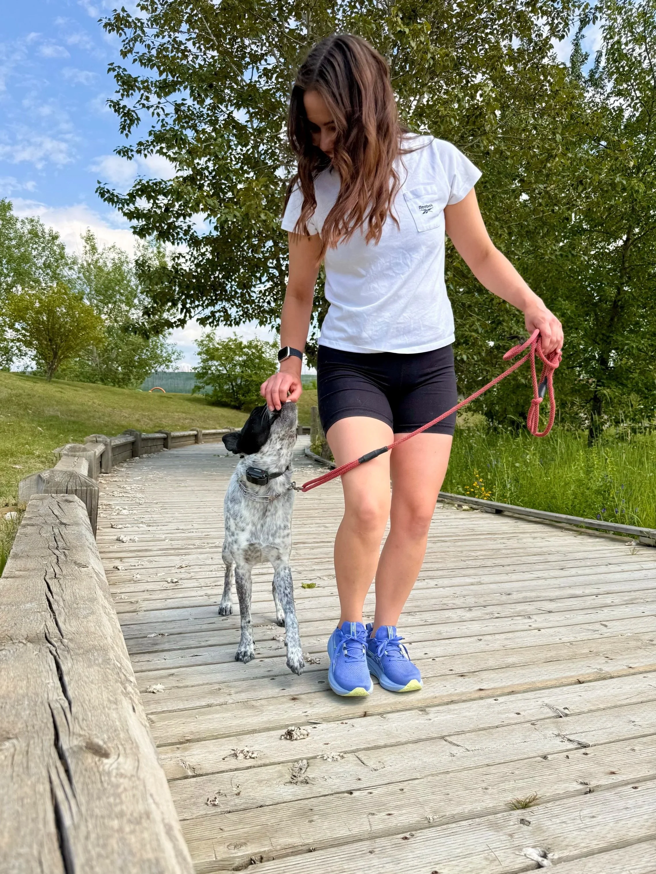 A woman walking a dog on a wooden bridge in a park during daytime. The woman is wearing a white t-shirt, black shorts, and blue athletic shoes. The dog appears to be a black and white speckled breed, wearing a collar and leash.