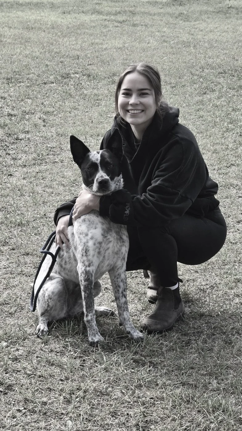 From Psychology Student to Dog Trainer: My Journey to Helping Dogs and Their People