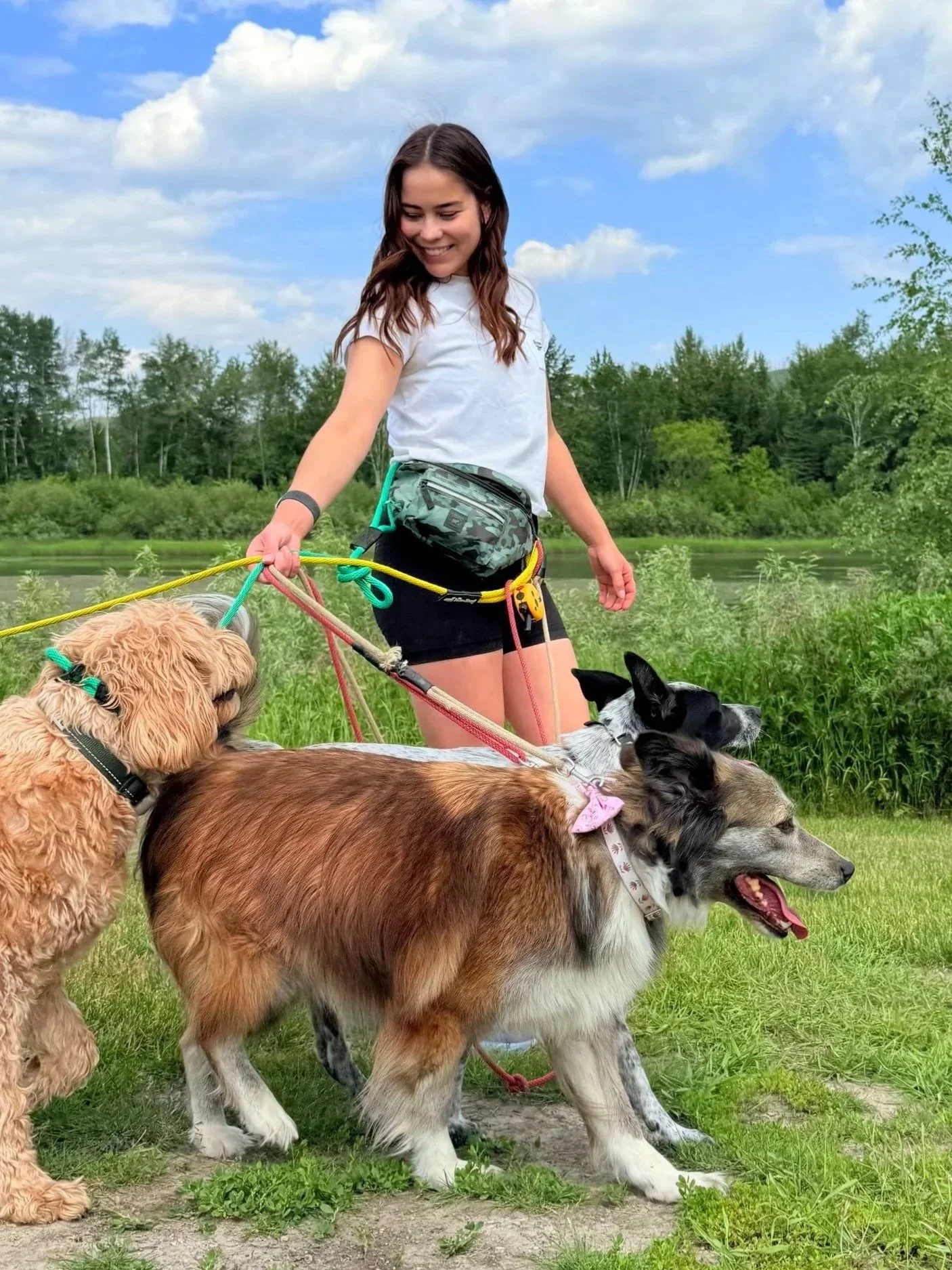 A young woman walking four dogs near a body of water with trees and clouds in the background.
