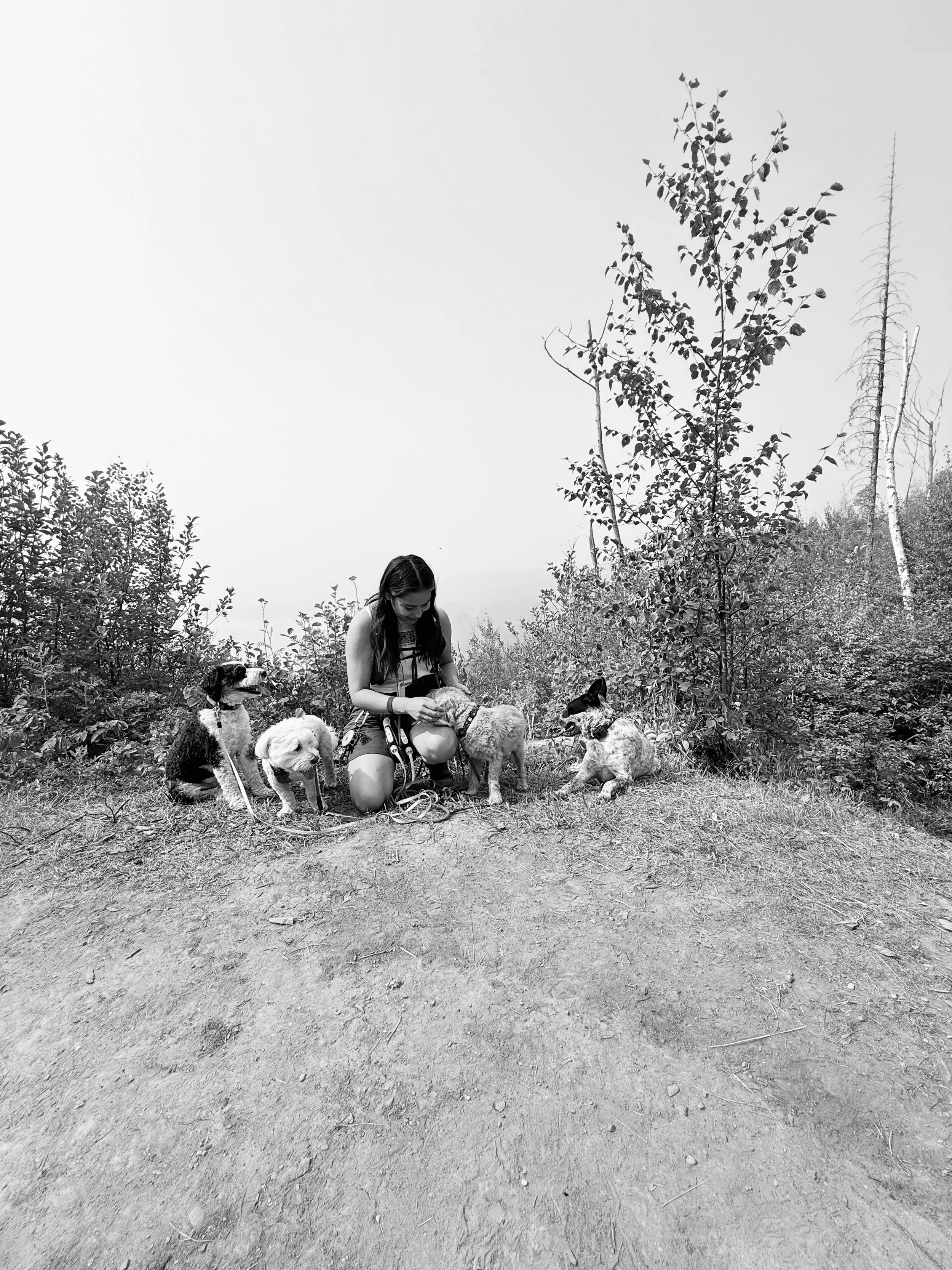A woman kneeling on a dirt trail with four dogs, surrounded by trees and bushes in a natural outdoor setting.