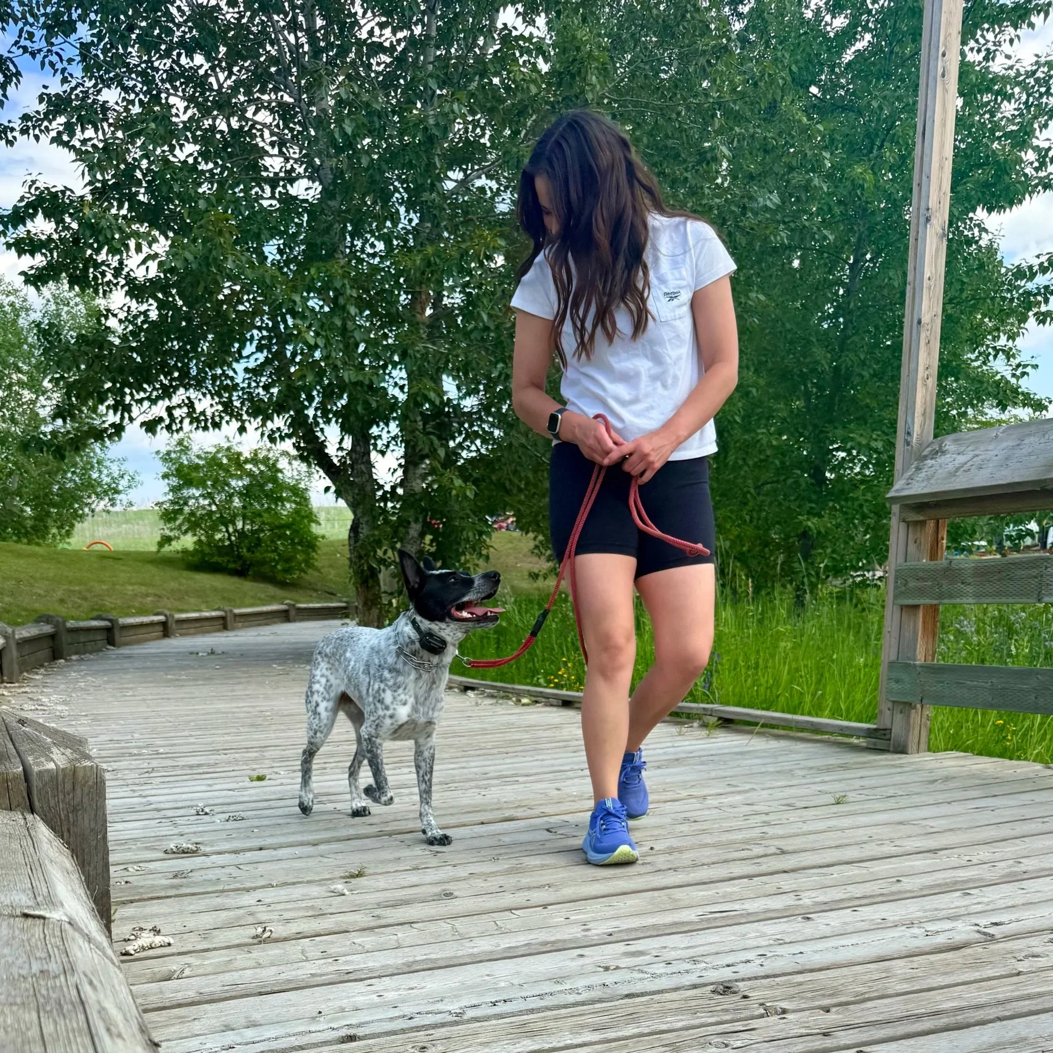 A woman walking a black and white dog on a wooden trail in a park with green trees and grass.