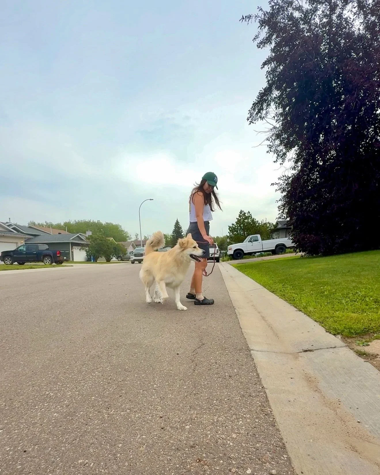A young woman walking a fluffy, light-colored dog on a leash in a suburban neighborhood during daytime, with houses, trees, and parked cars visible in the background.